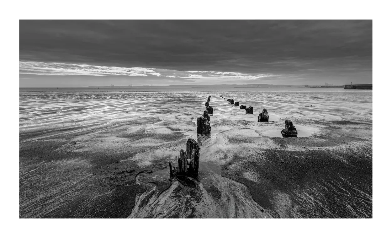 Entry 25480747