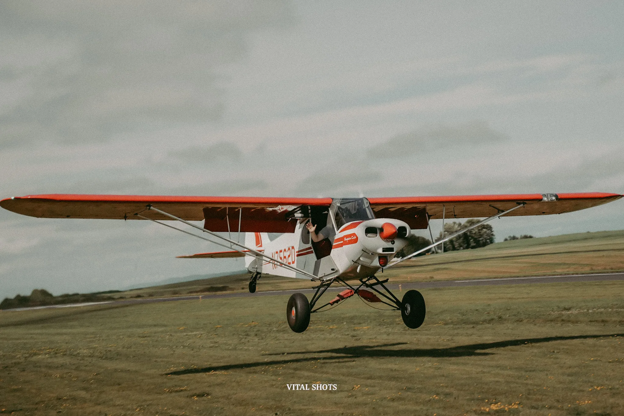 '64 Cub
