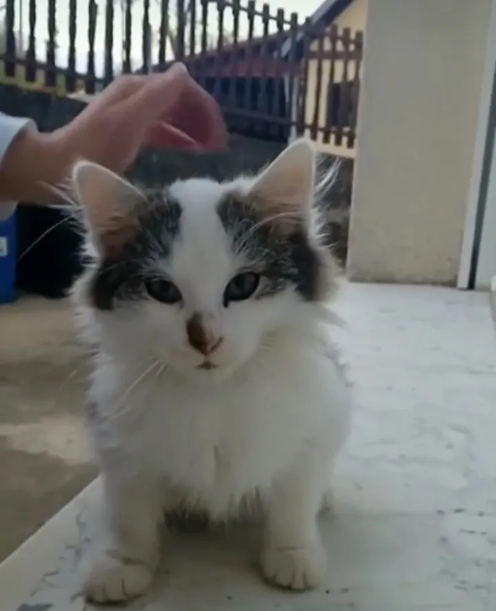 Čupko🥰