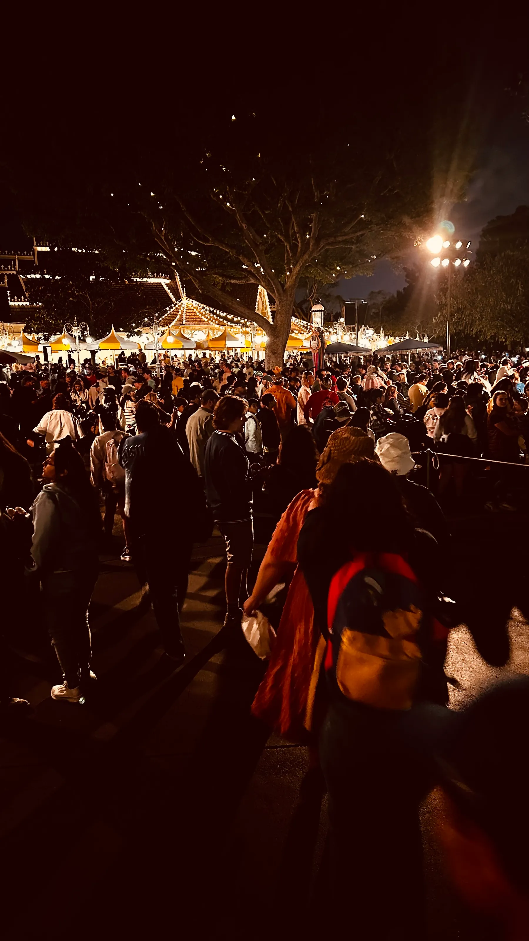Crowds of People (no political rallies)