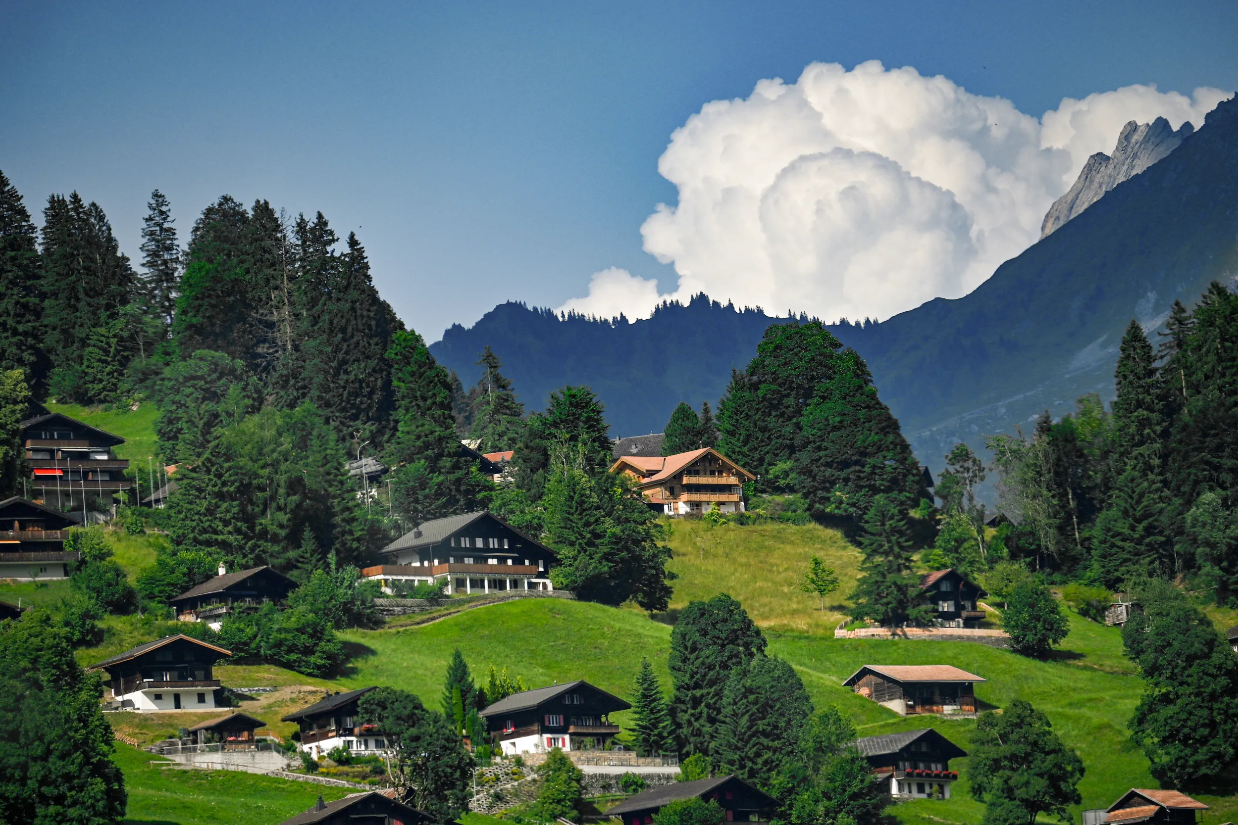 Living With The Alpine Peaks