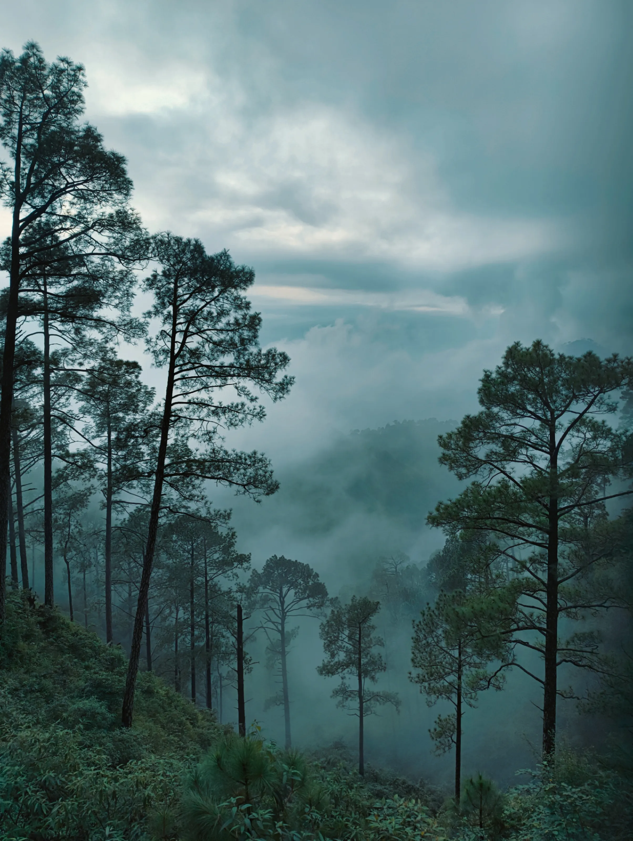 KATRA - JAMMU & KASHMIR