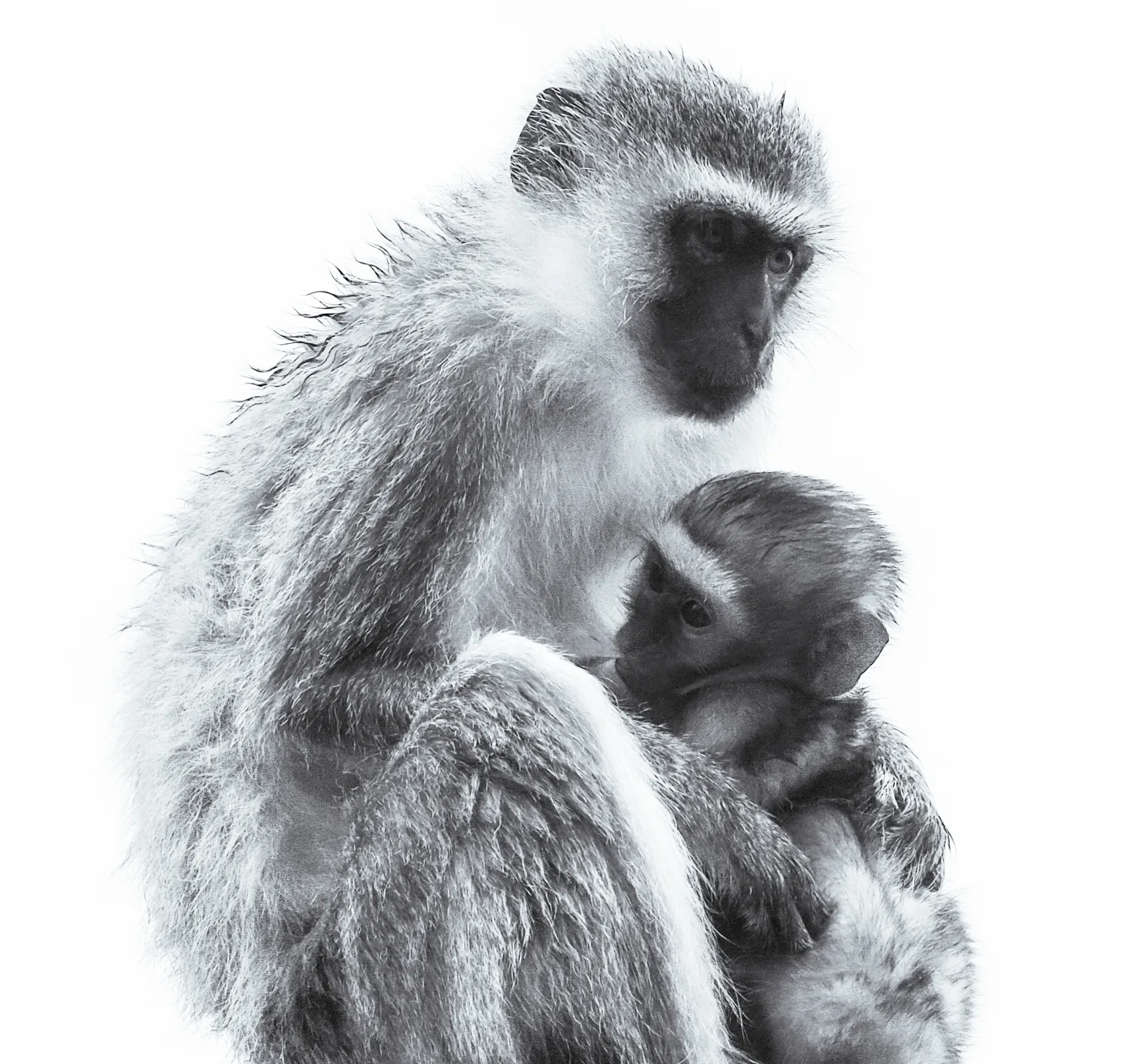 Unconditional love