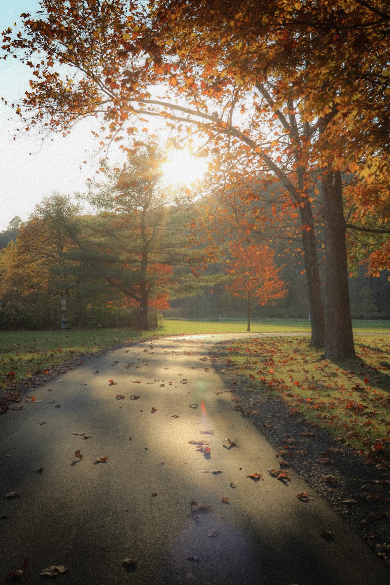 Autumn Walk