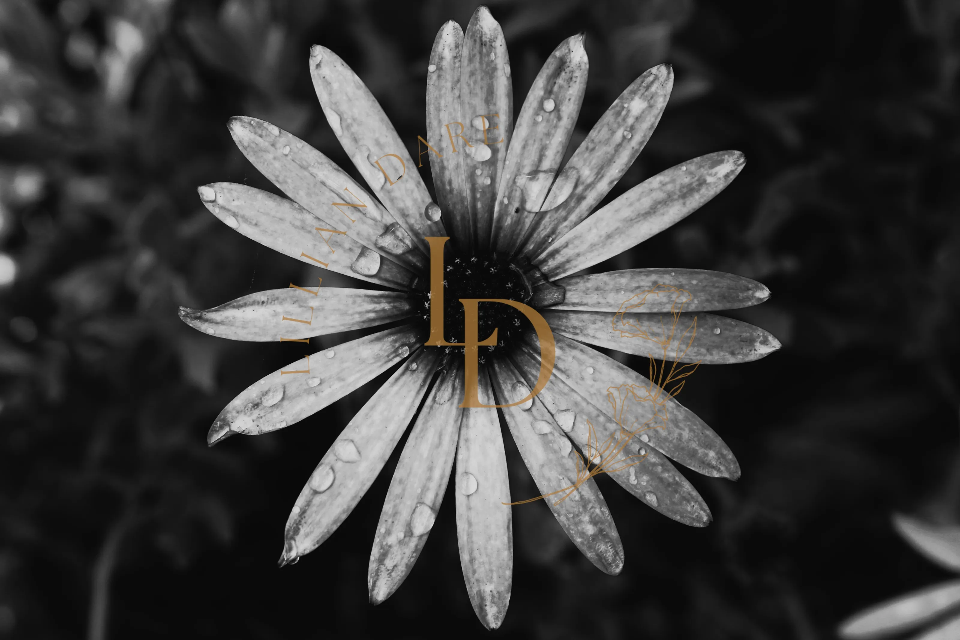 Beautiful darkness