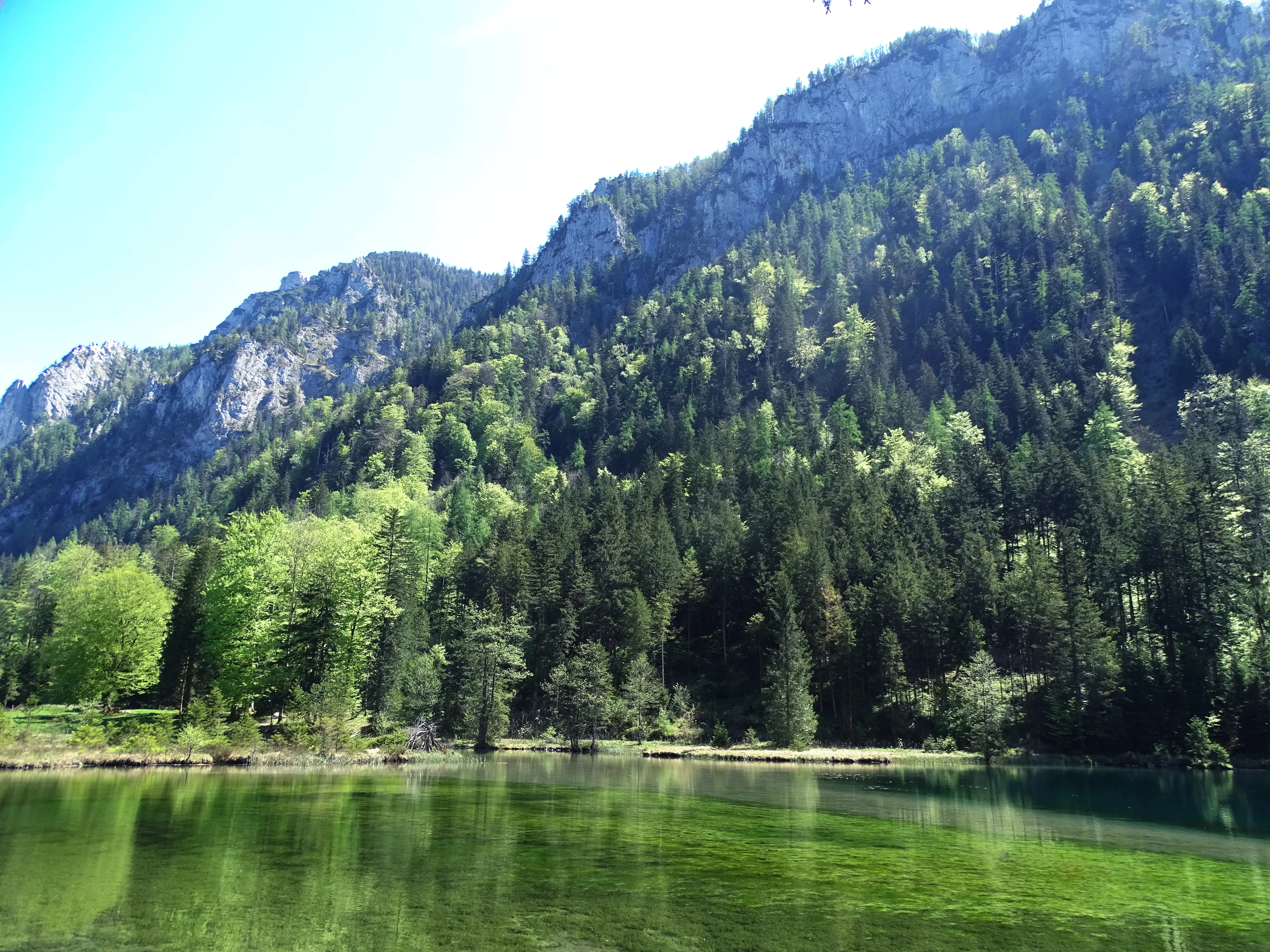 Tranquility of the Mountain Lake