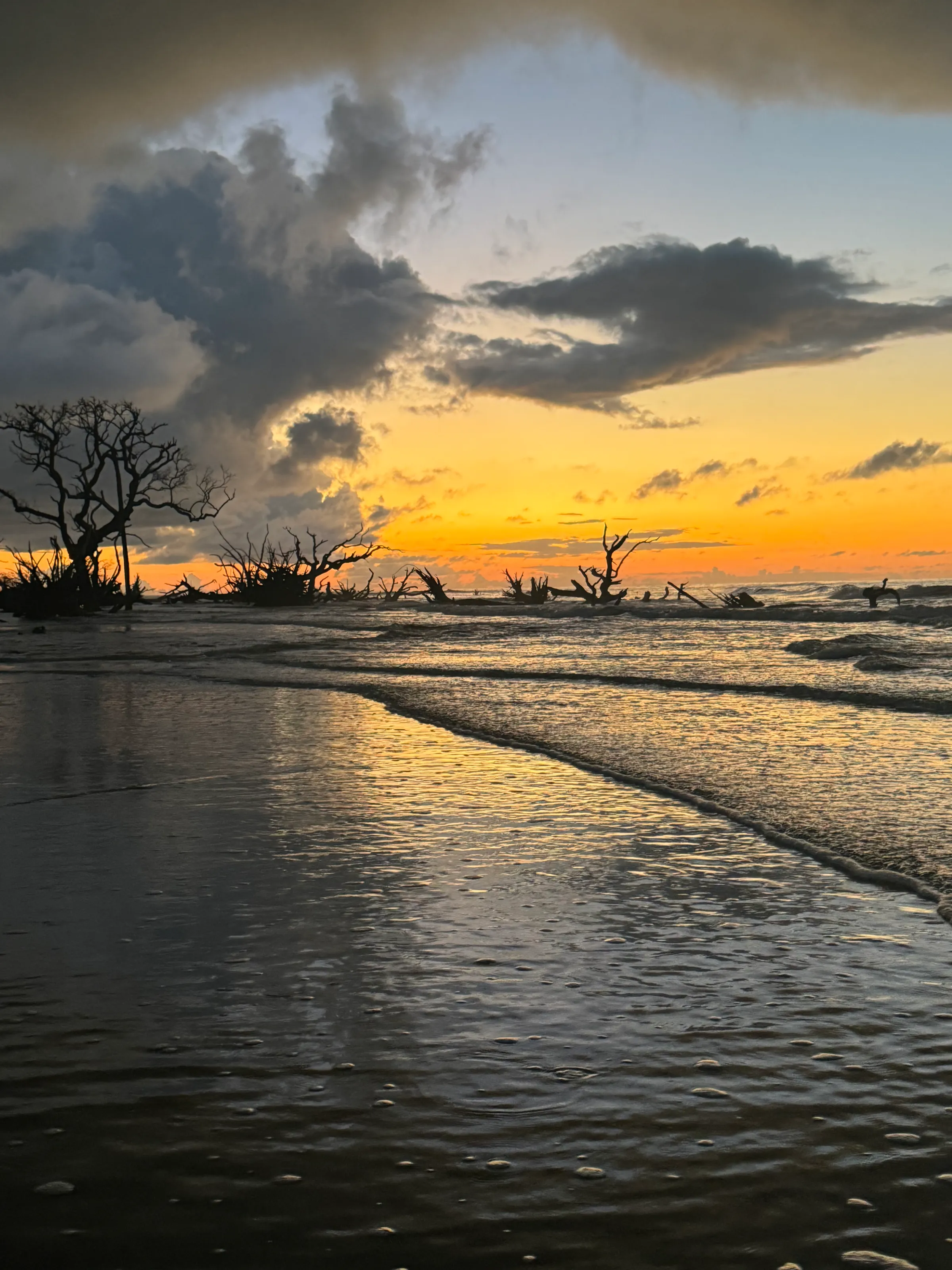Sunrise on Boneyard Beach