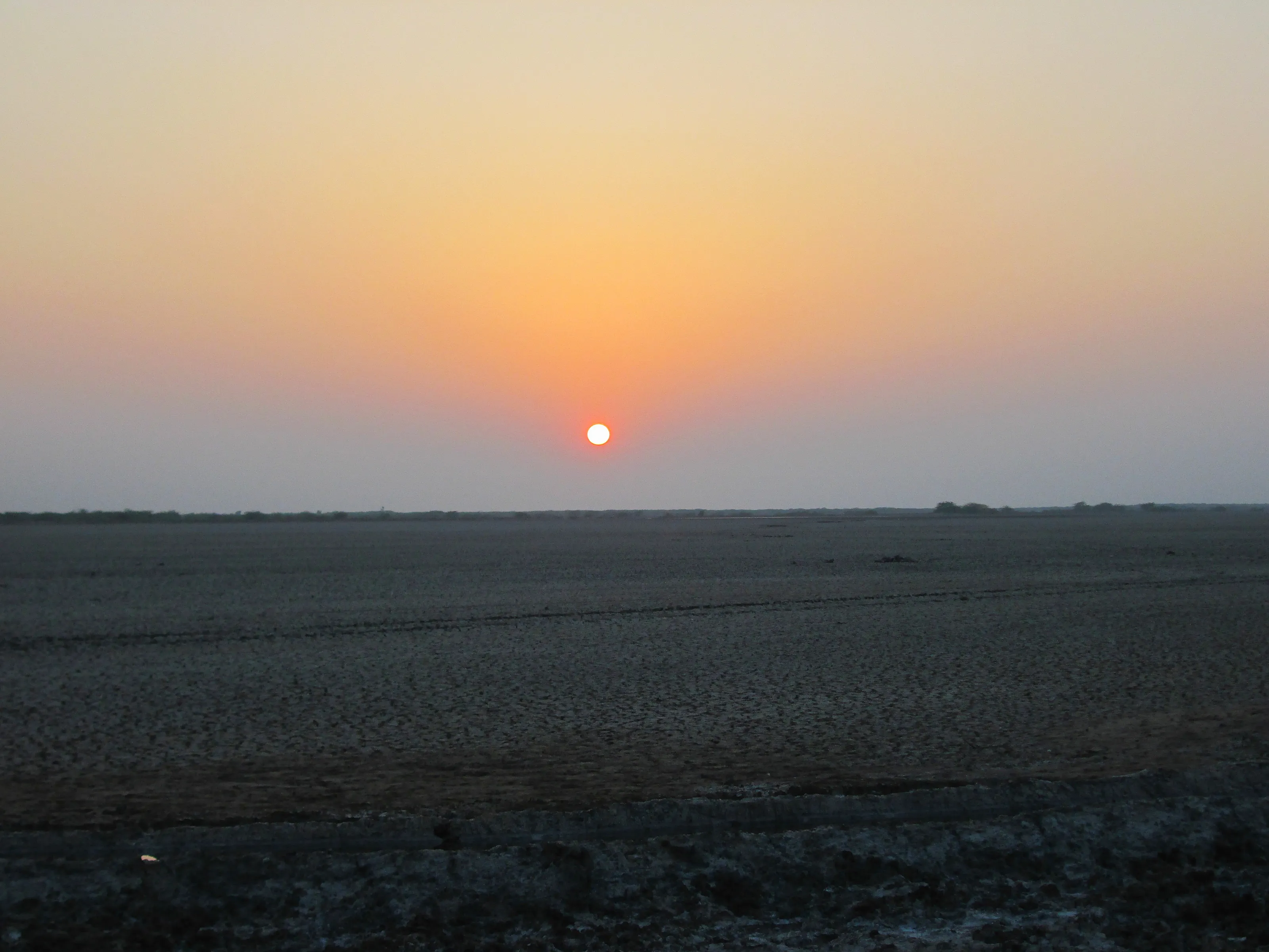 The long whisper of dusk.
