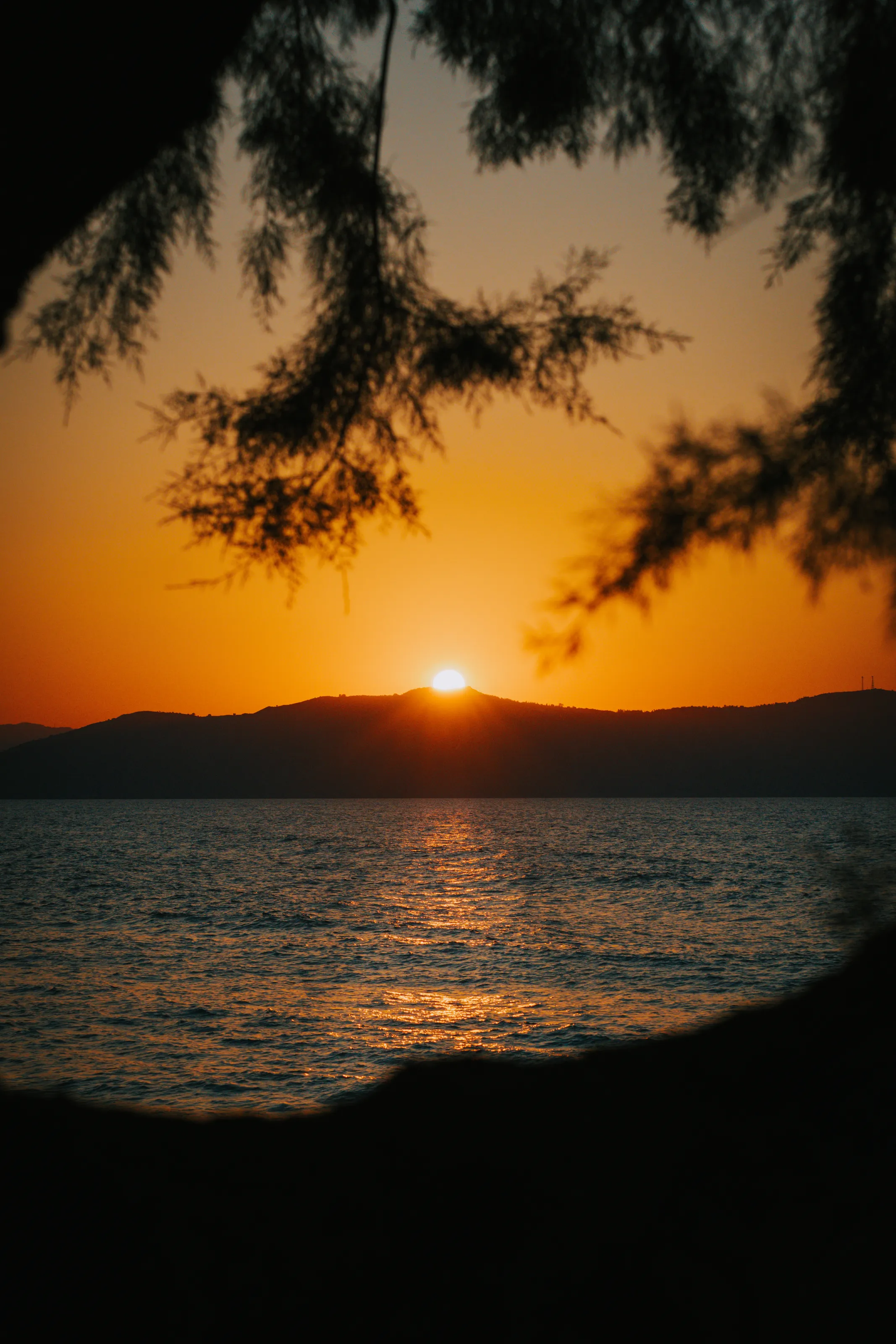 Golden Horizon