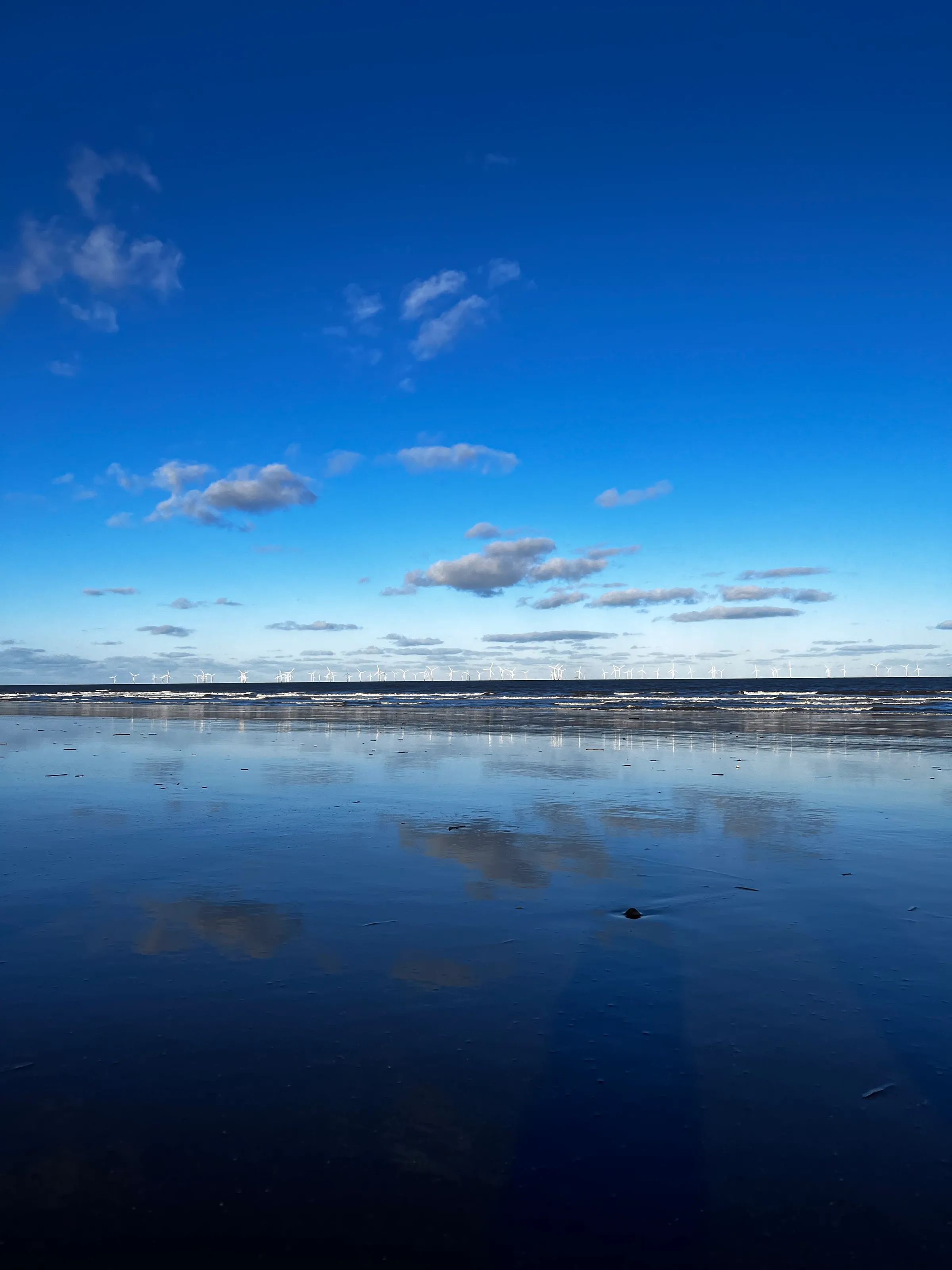 Sea the reflection
