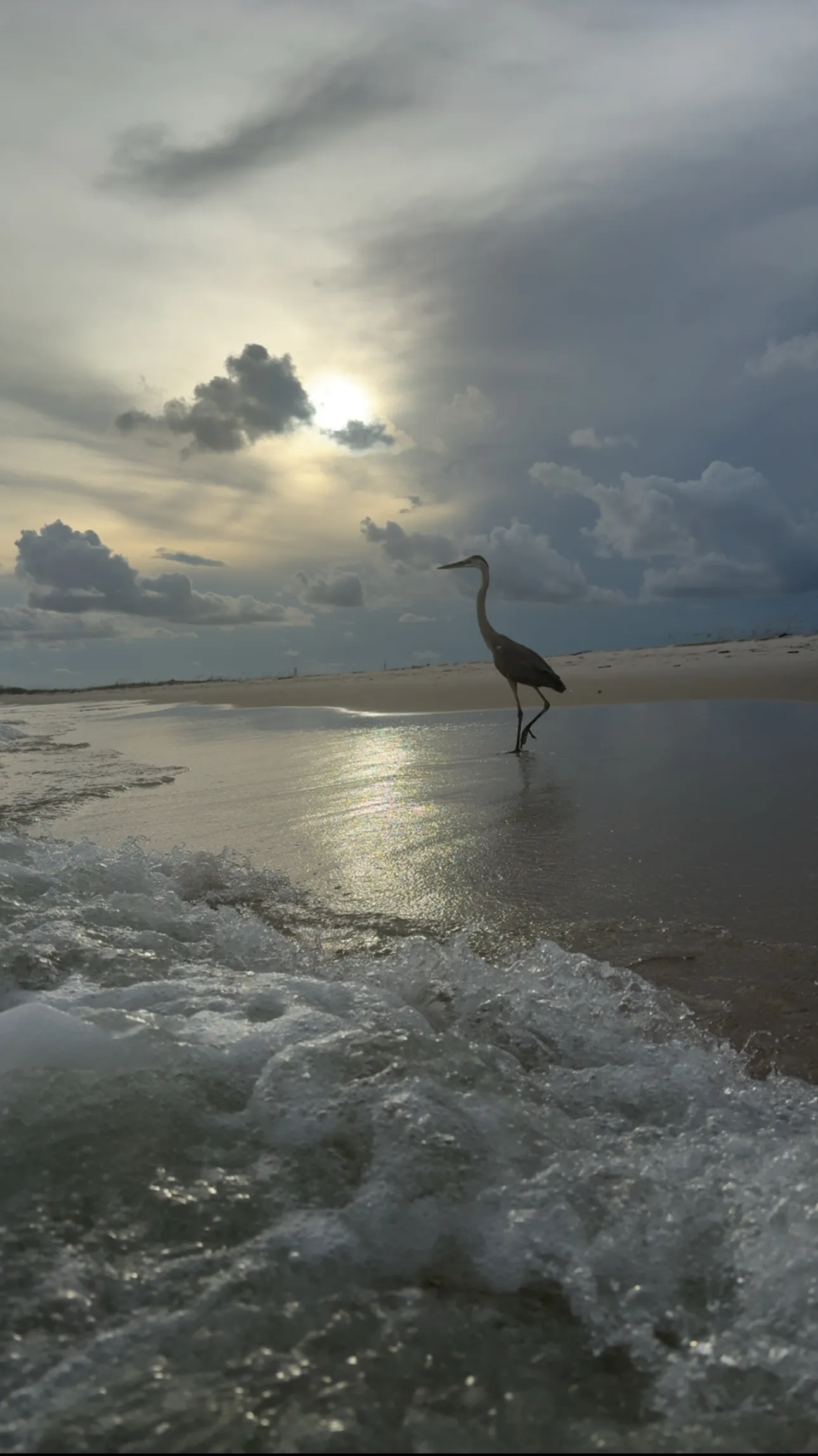 Gulf Shores Stroll