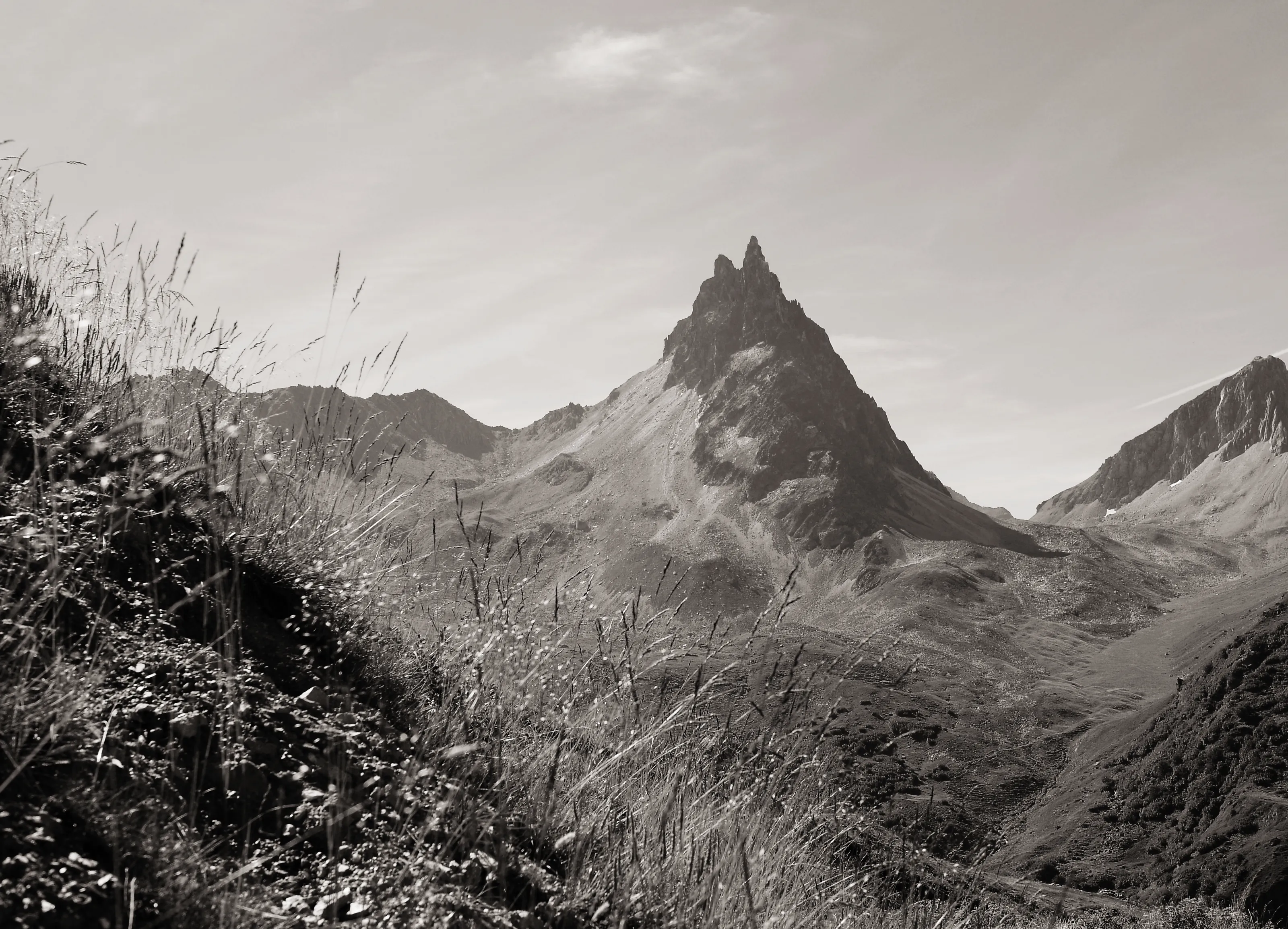 Savoie summer landscape