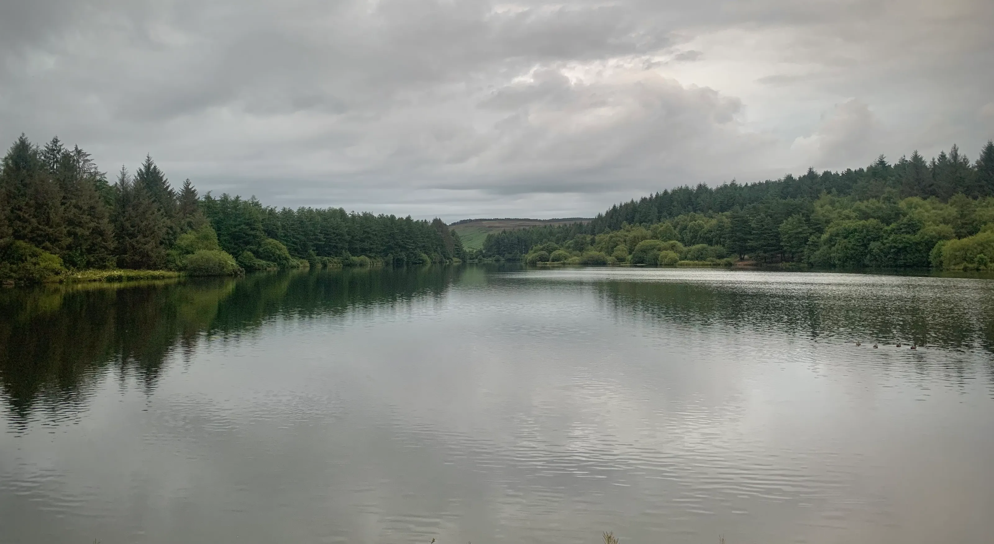 The Reservoir