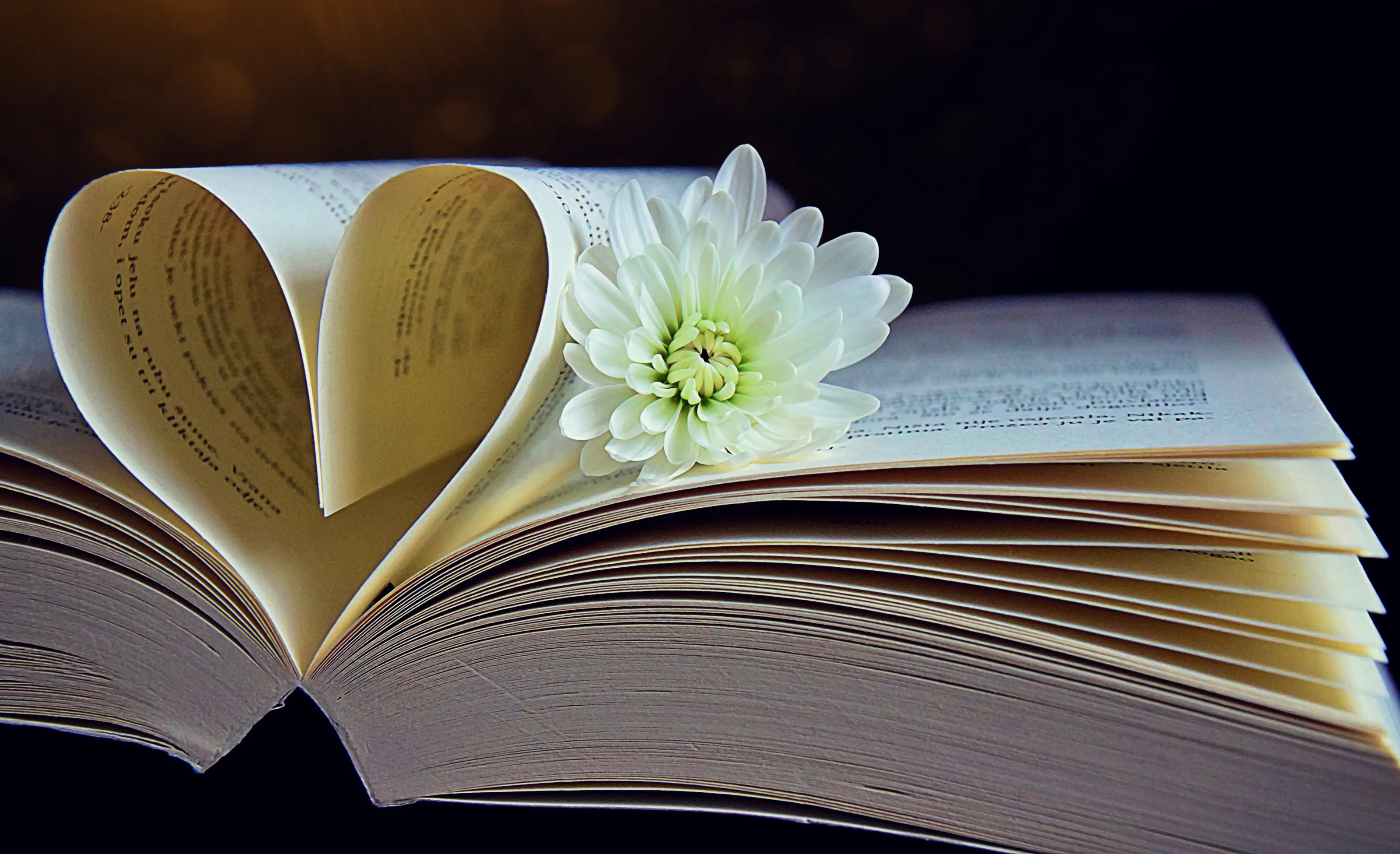 Magic book