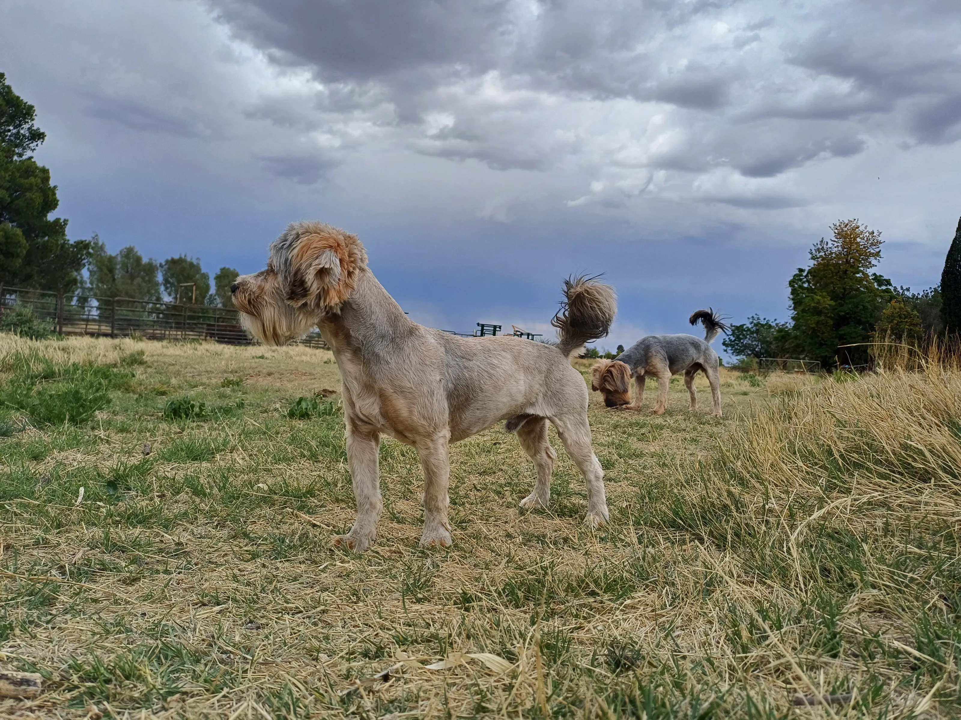 Rain on the way