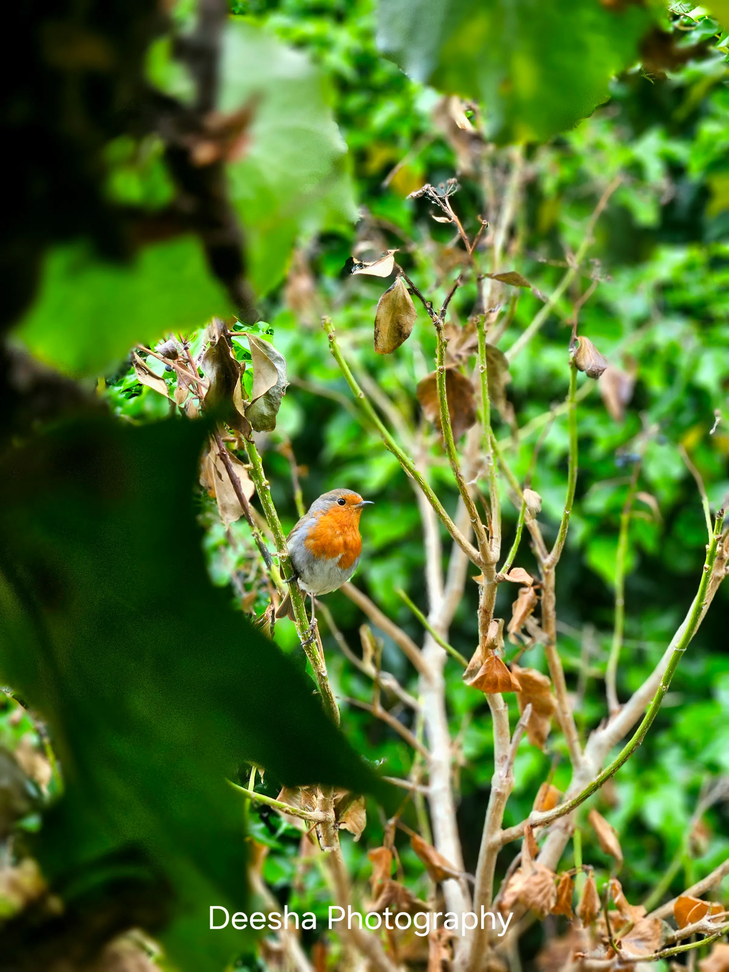 A quiet moment in nature