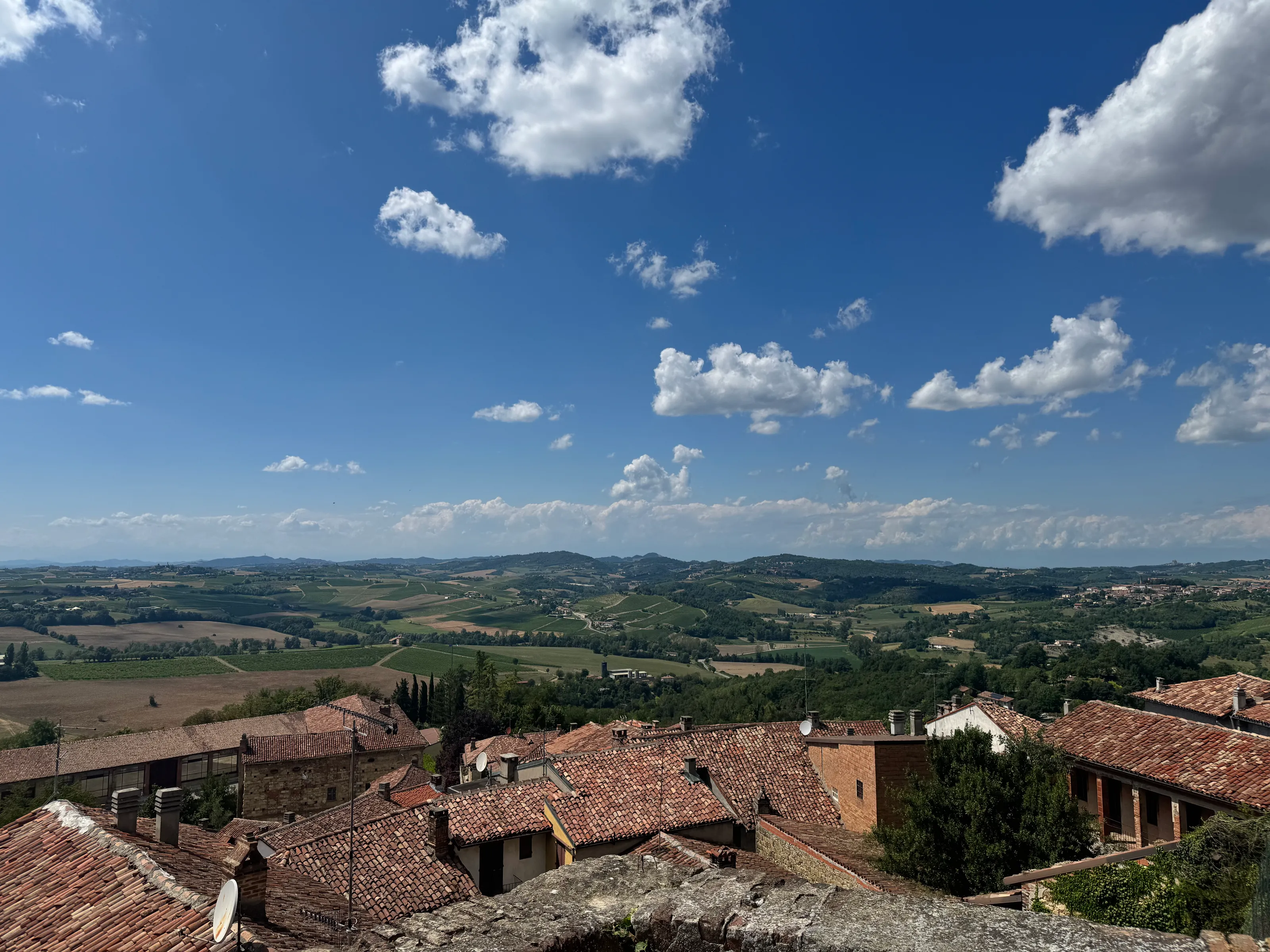 Vineyards observed from Vignale Monferrato