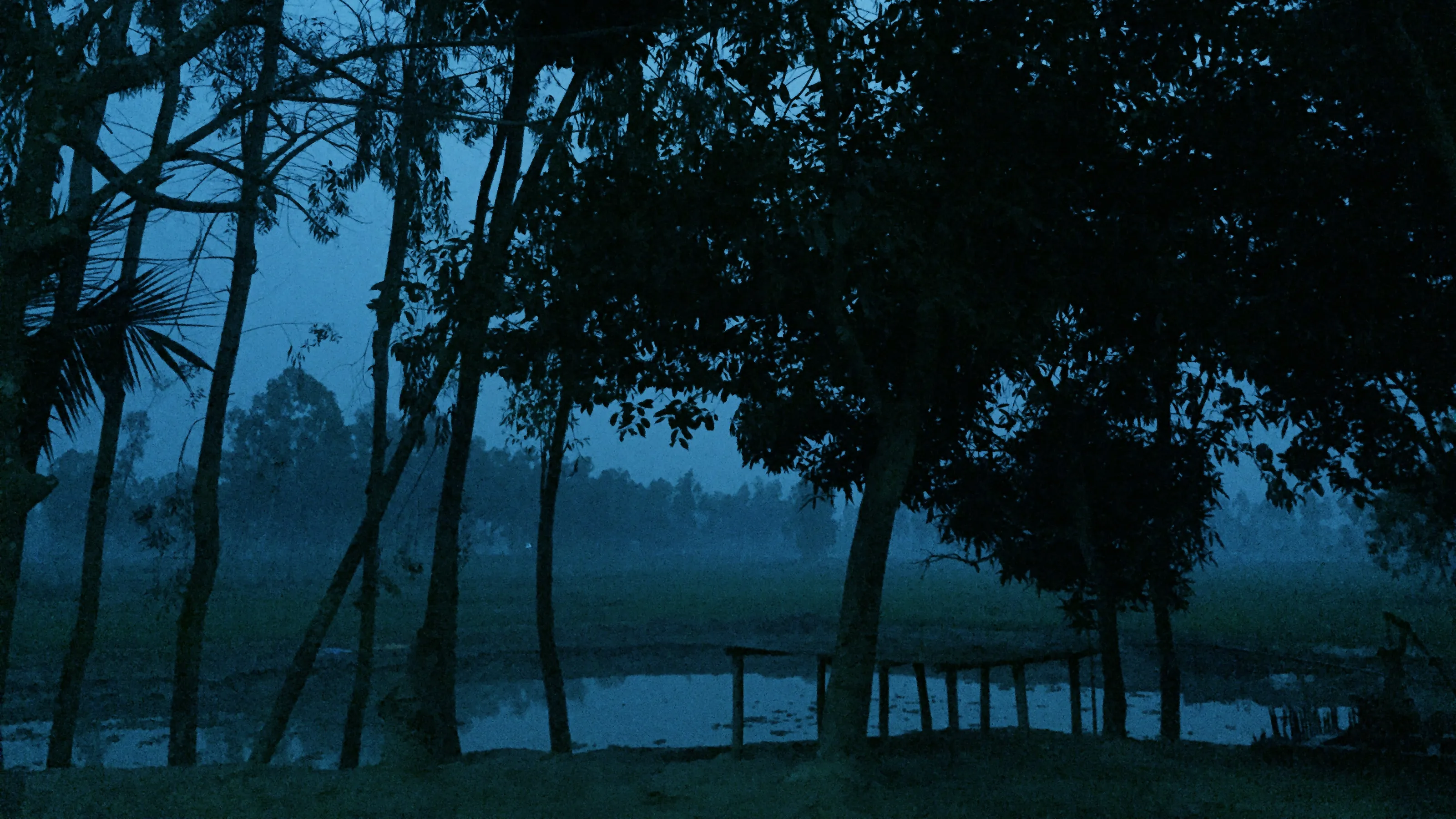 My Village.