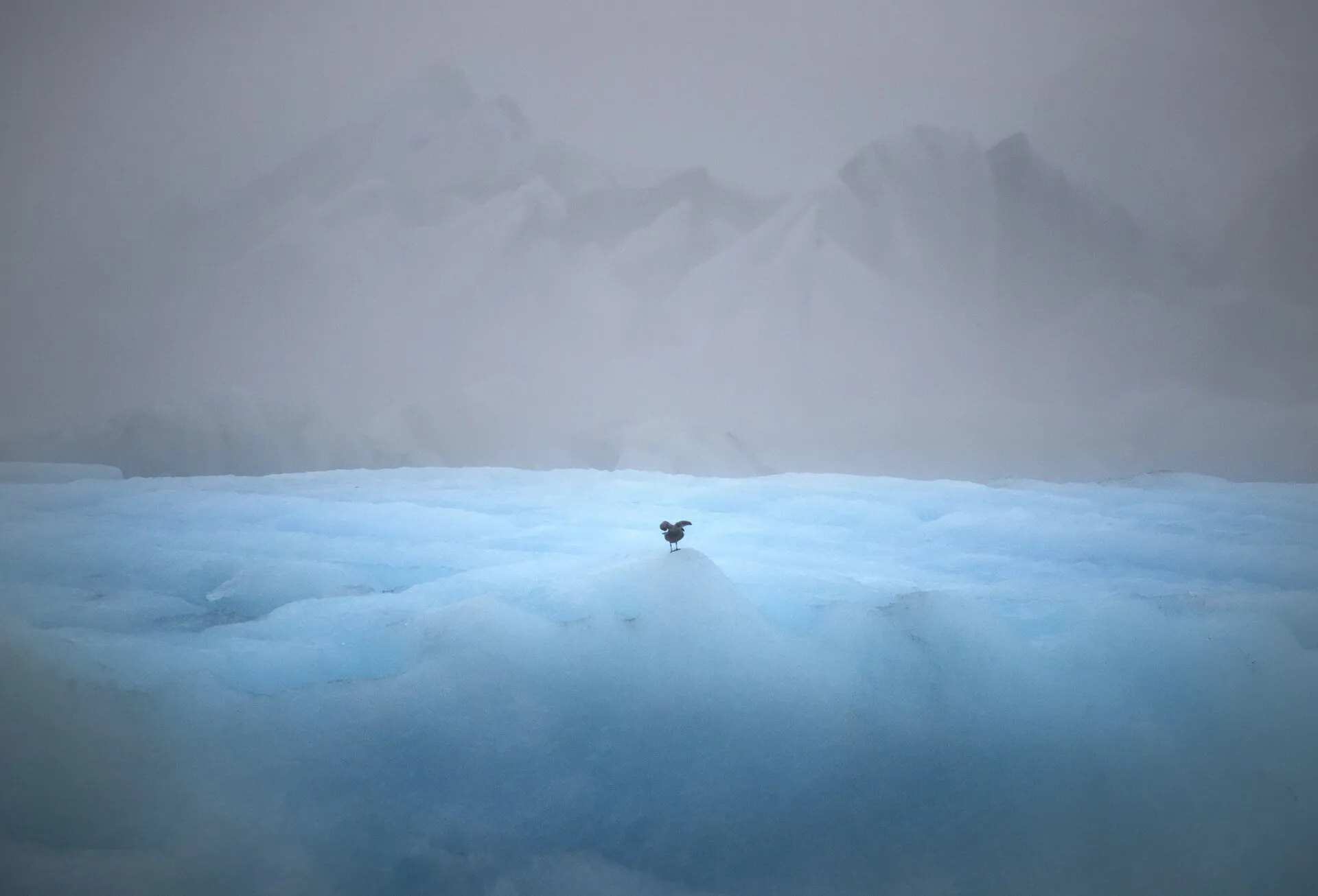 INTO THE BLUE