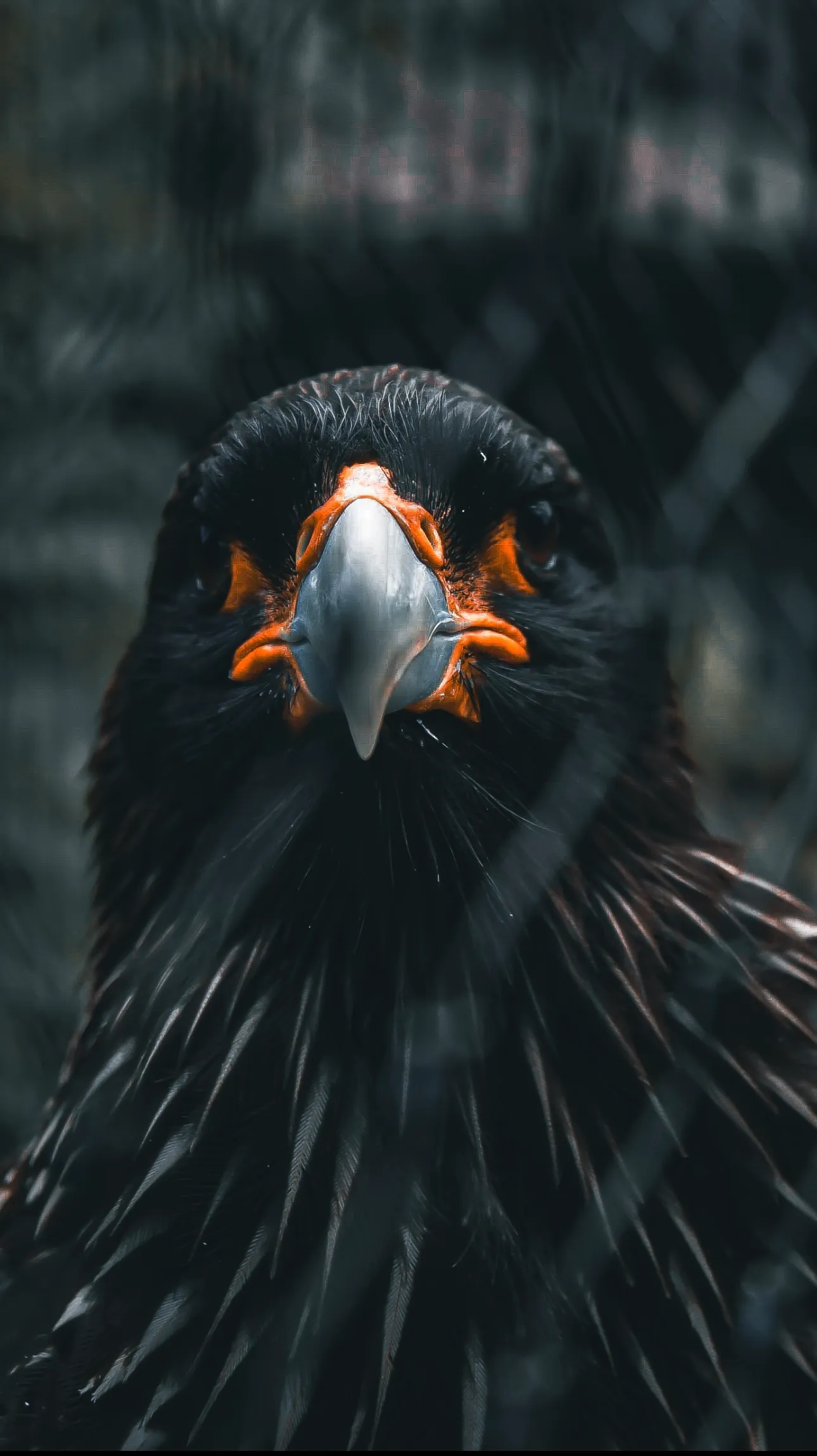 Silent Power