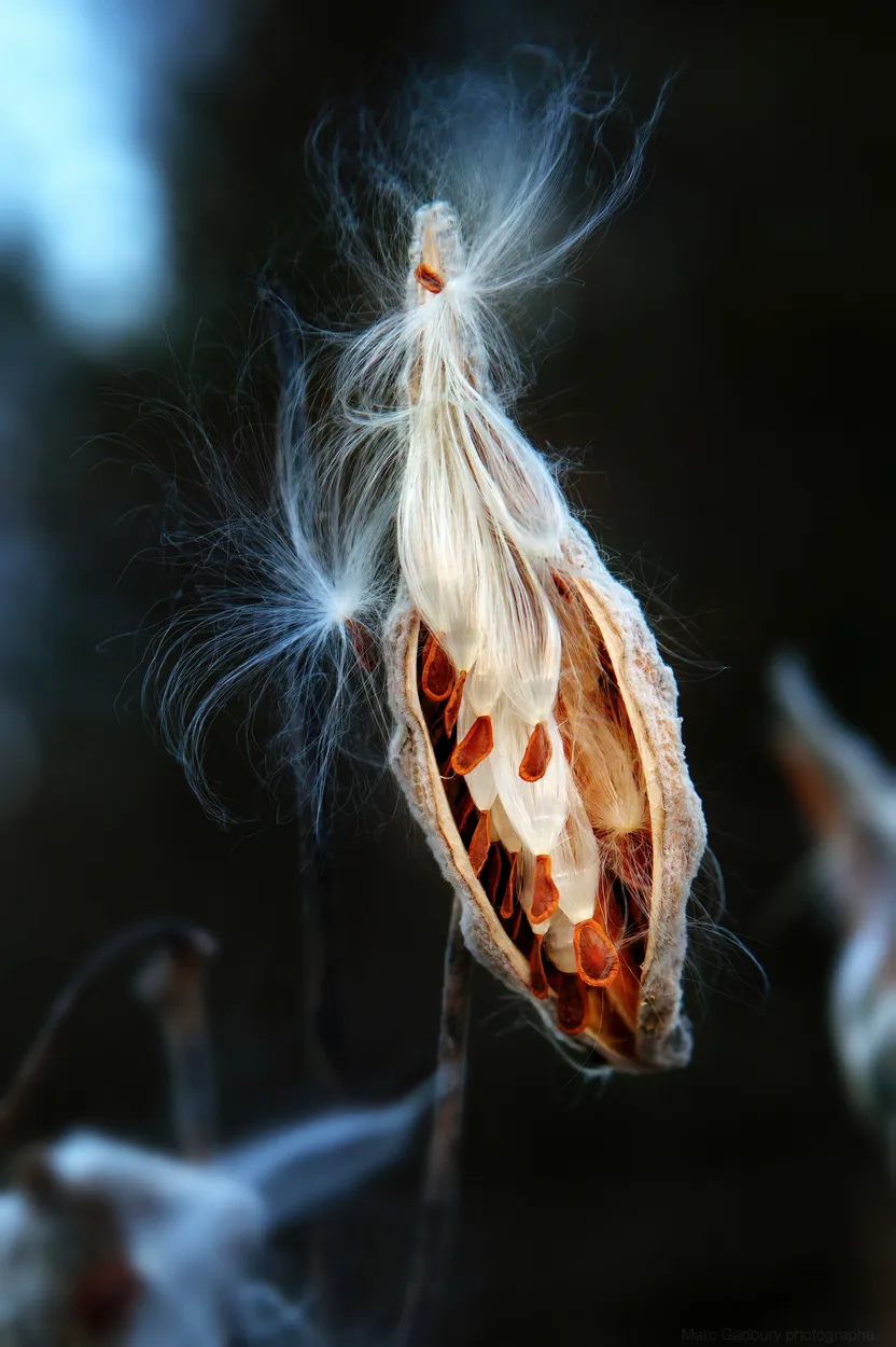 Entry 25330024