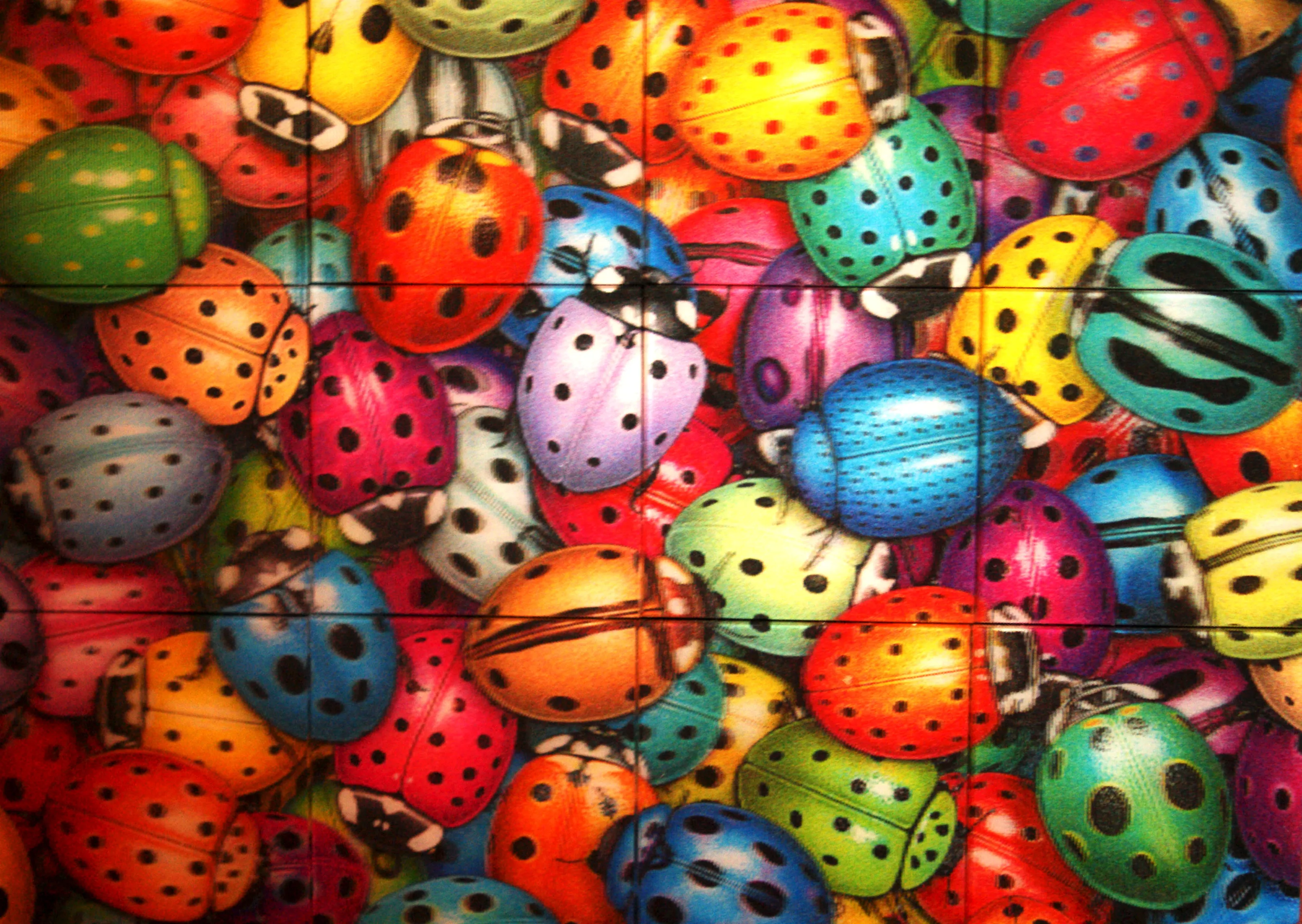Lady Bug get together