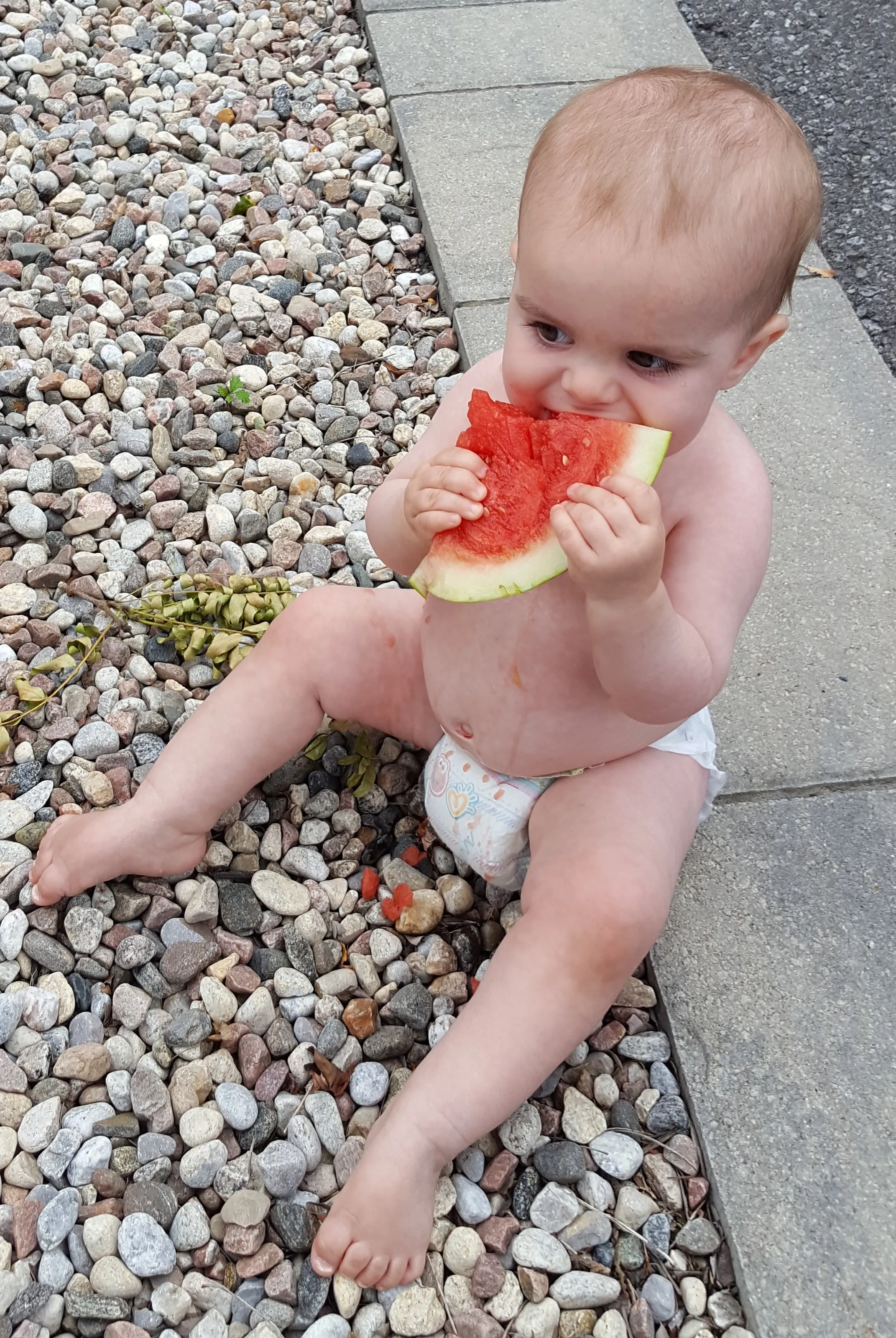 Hmm Delice Melon Shower
