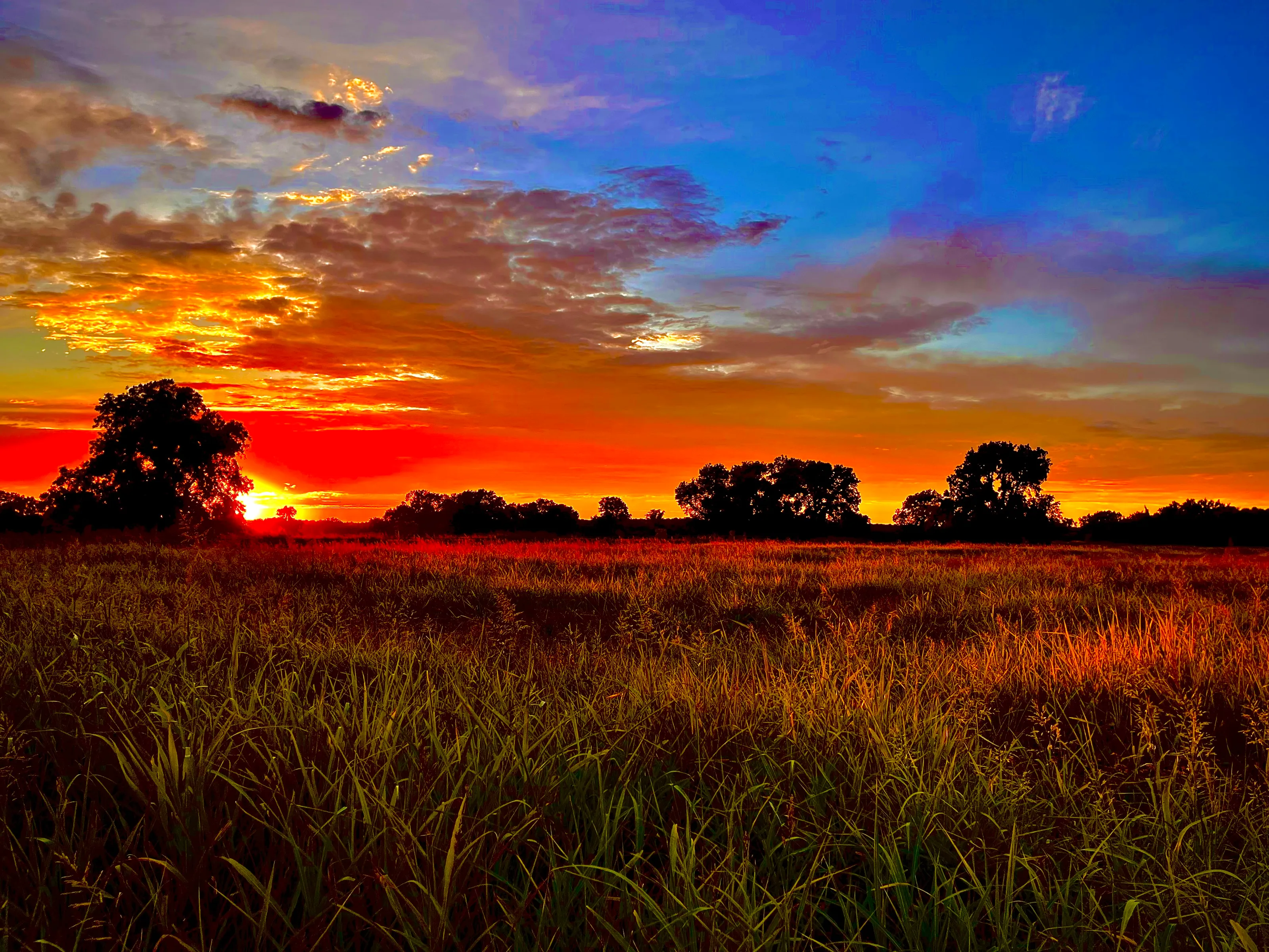Summer Sunset