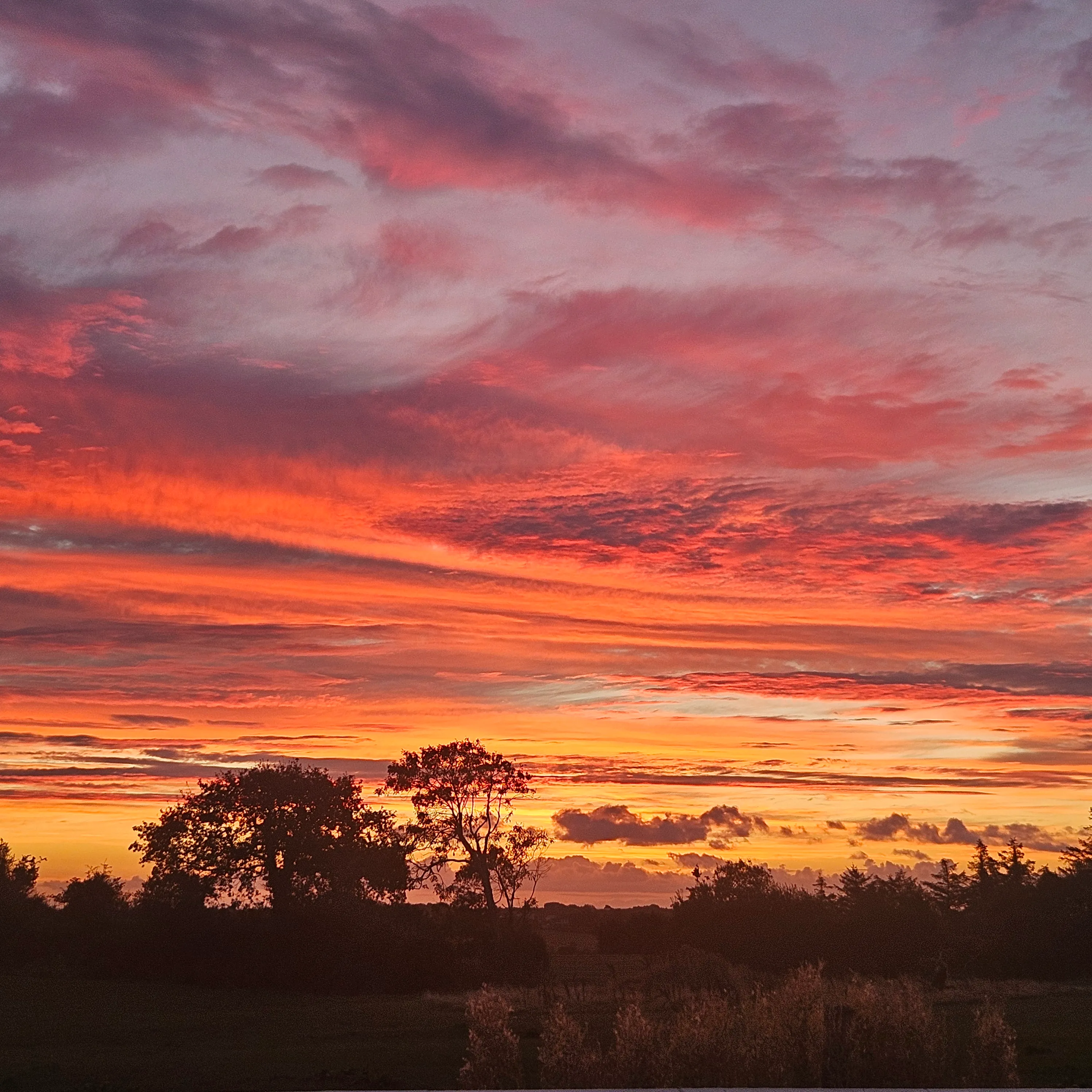 Early morning sunrise.