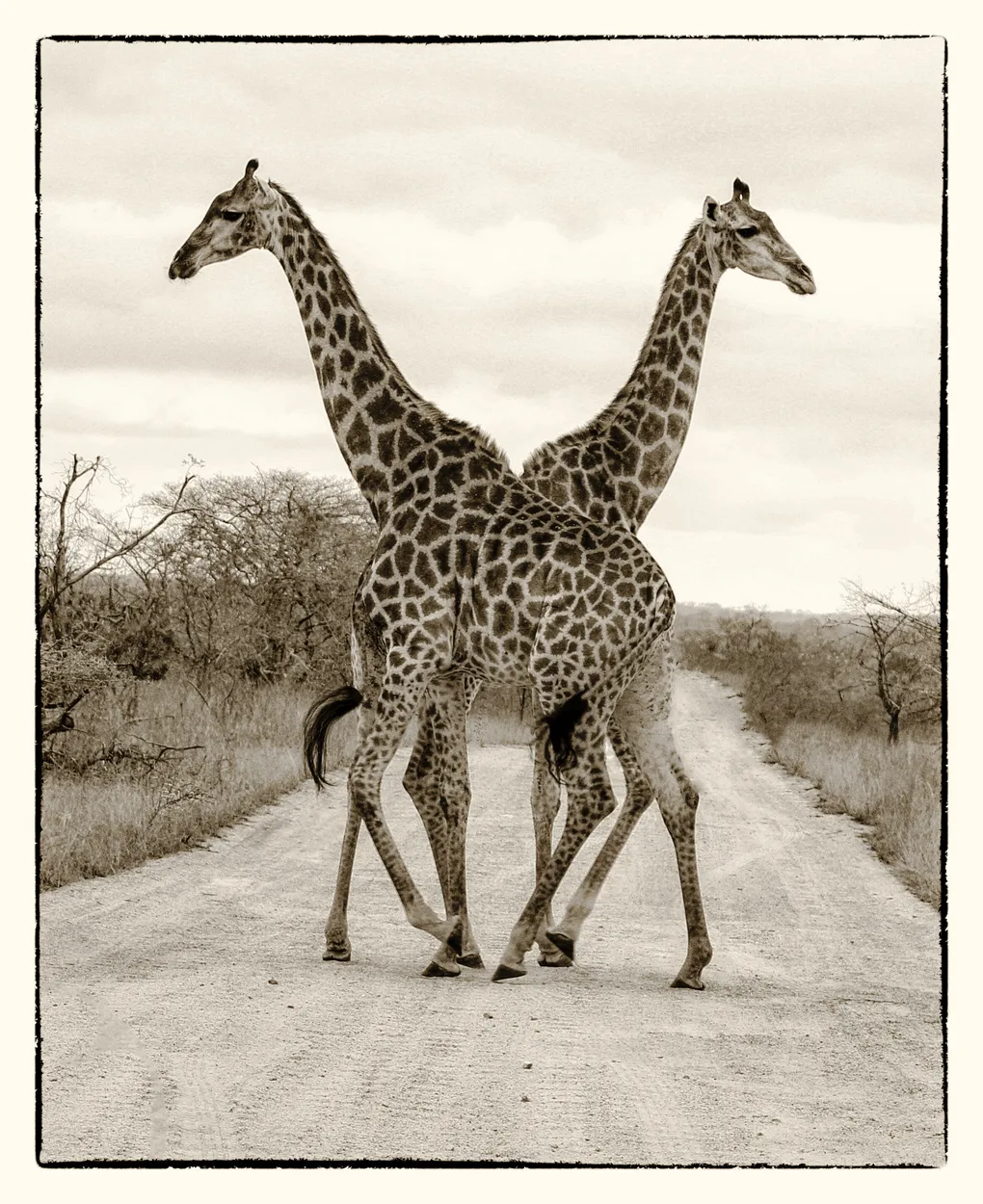 Entry 1870660