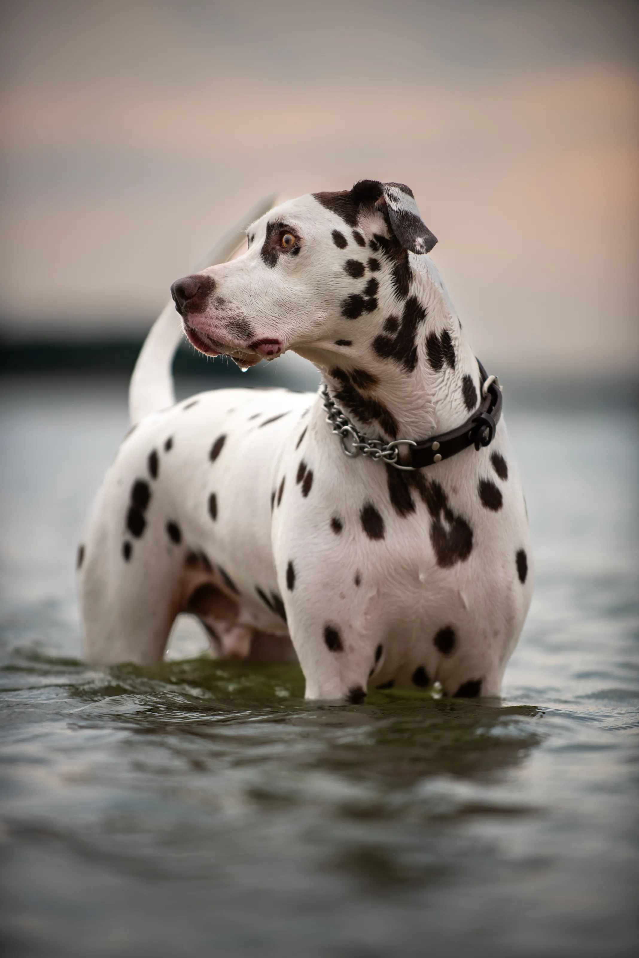 Wait, what was that