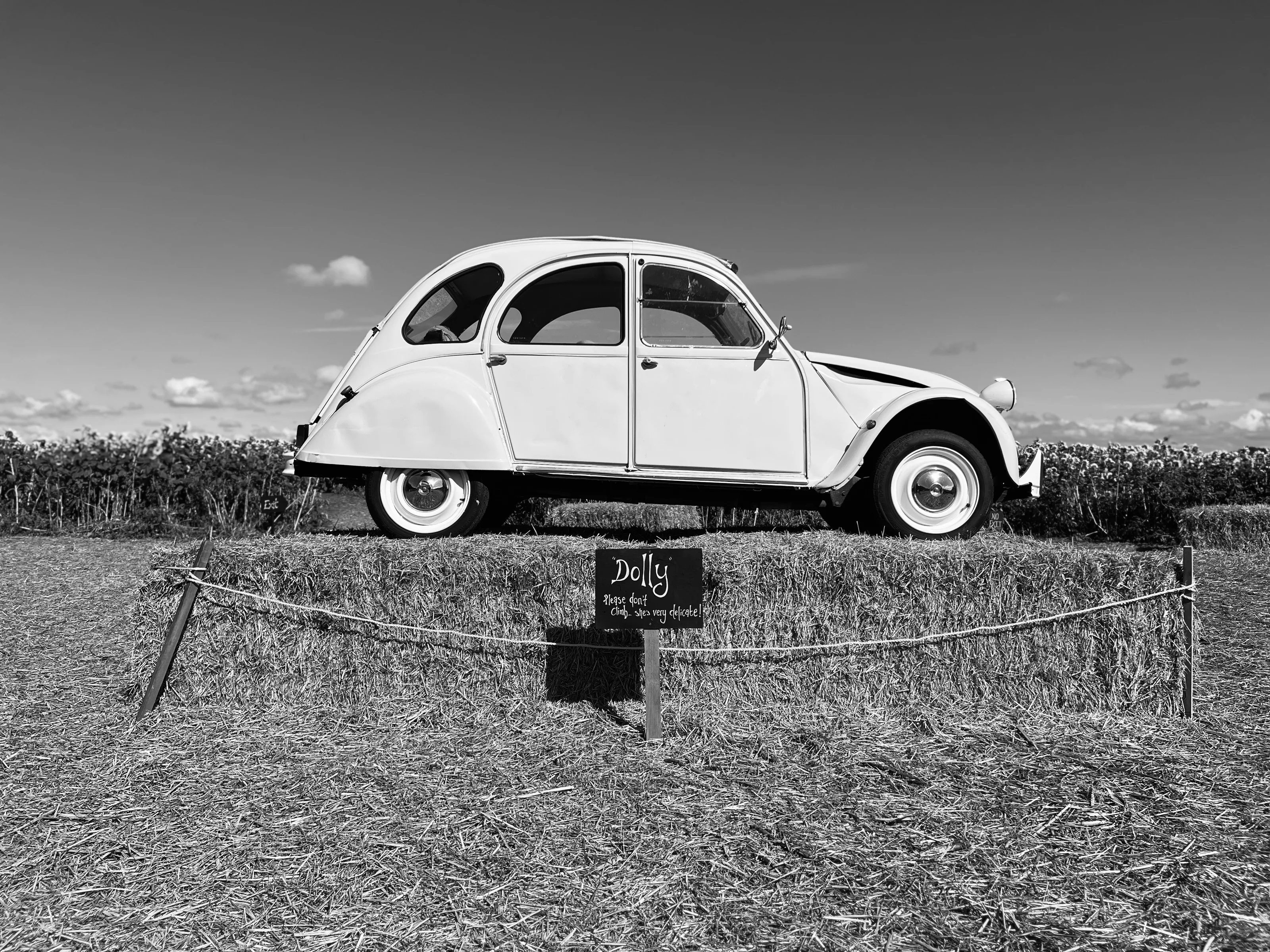 A vintage car-Dolly