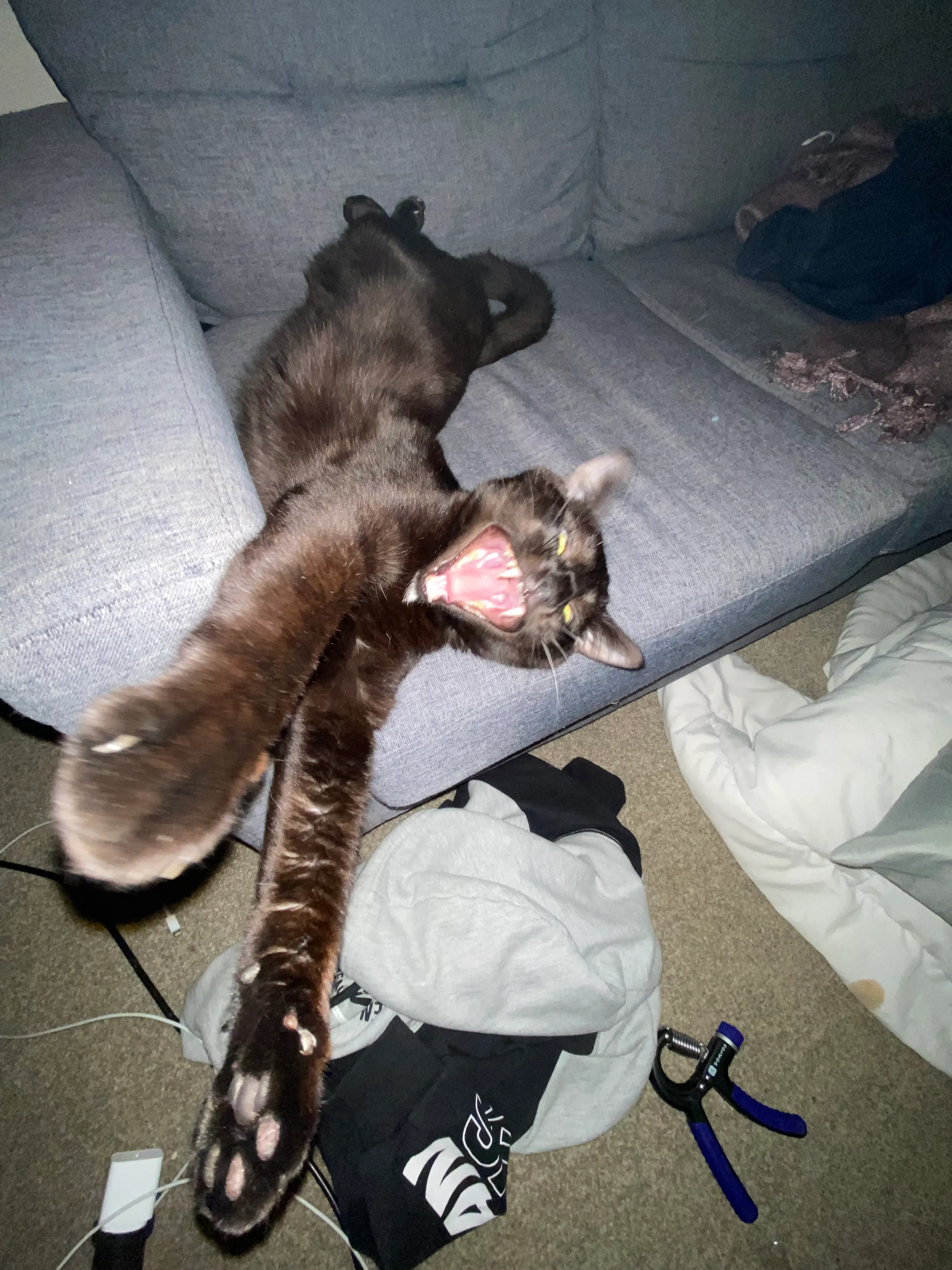 Yawning