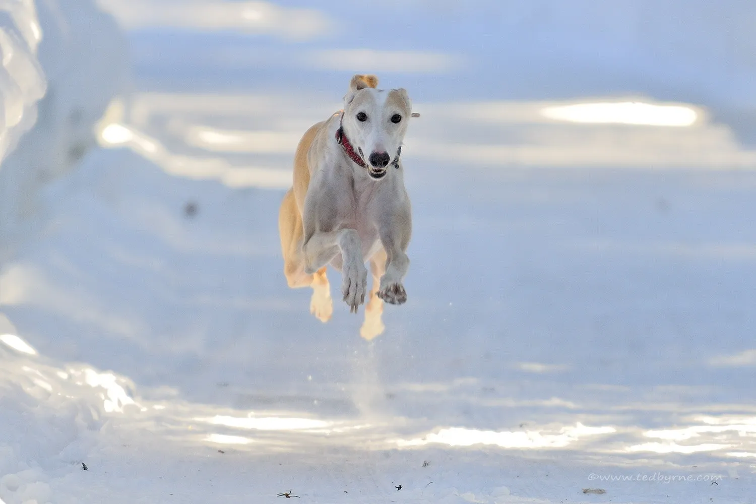 Django Running
