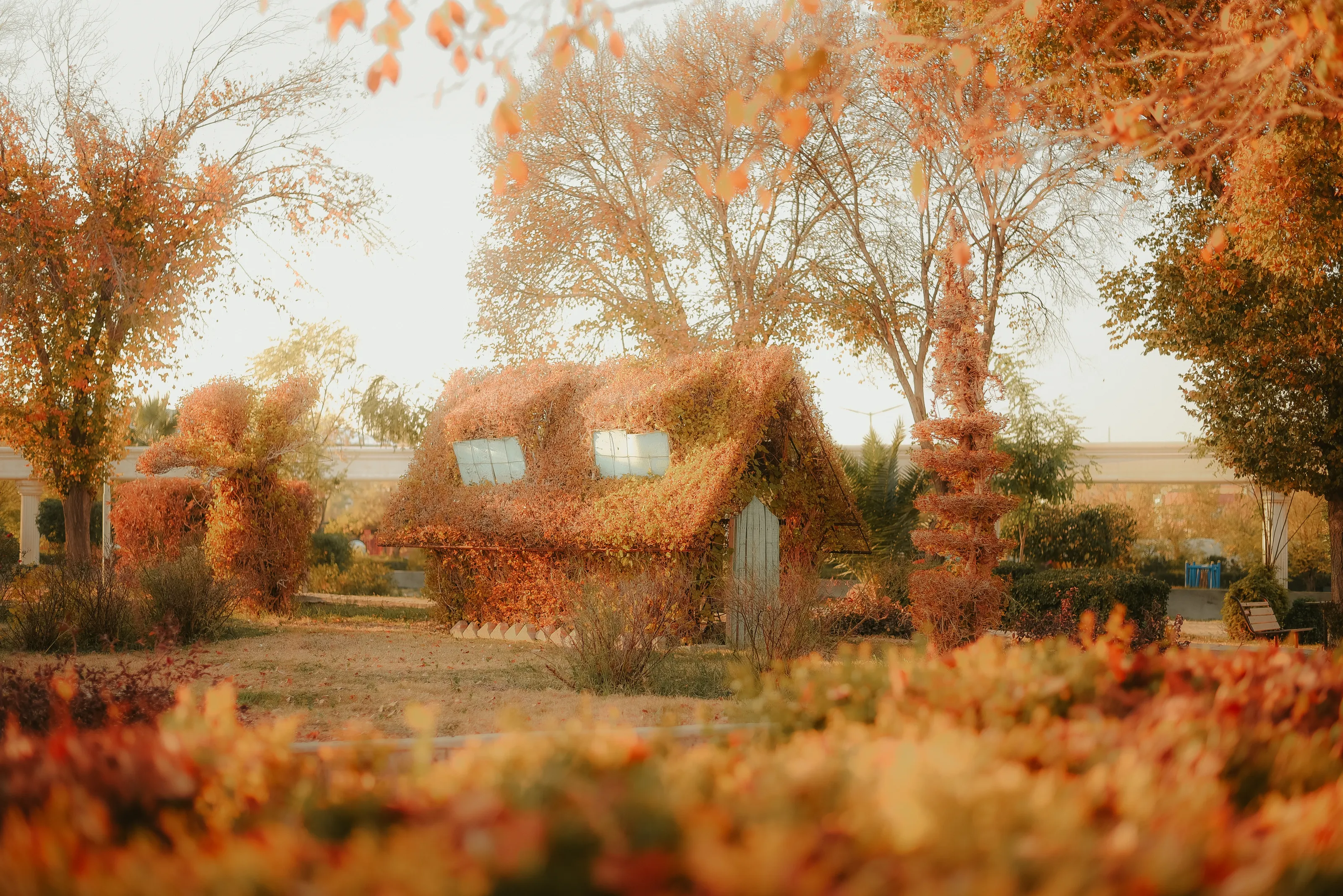 Garden of Dreams