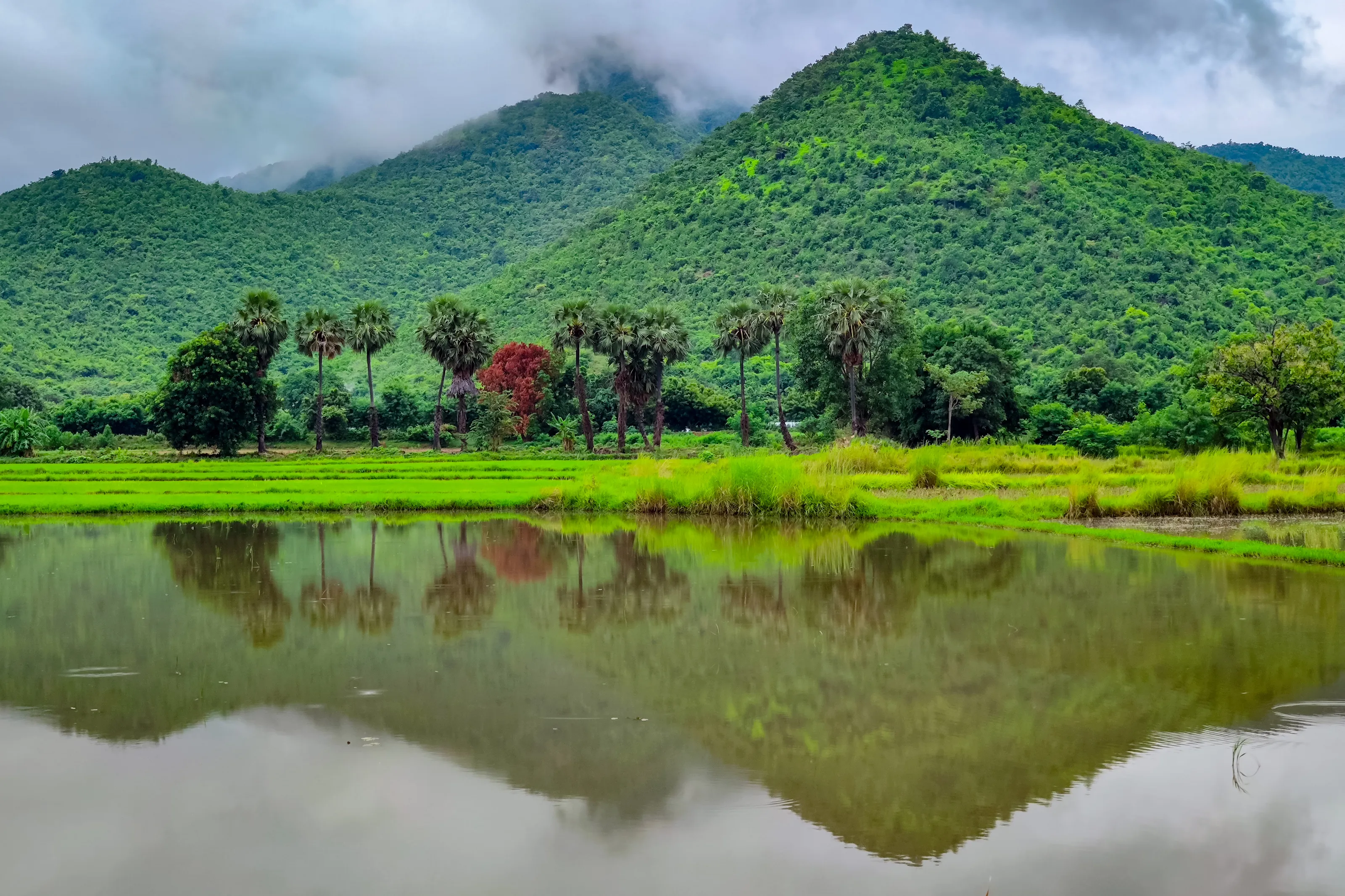 The Reflection of Mountain Nature