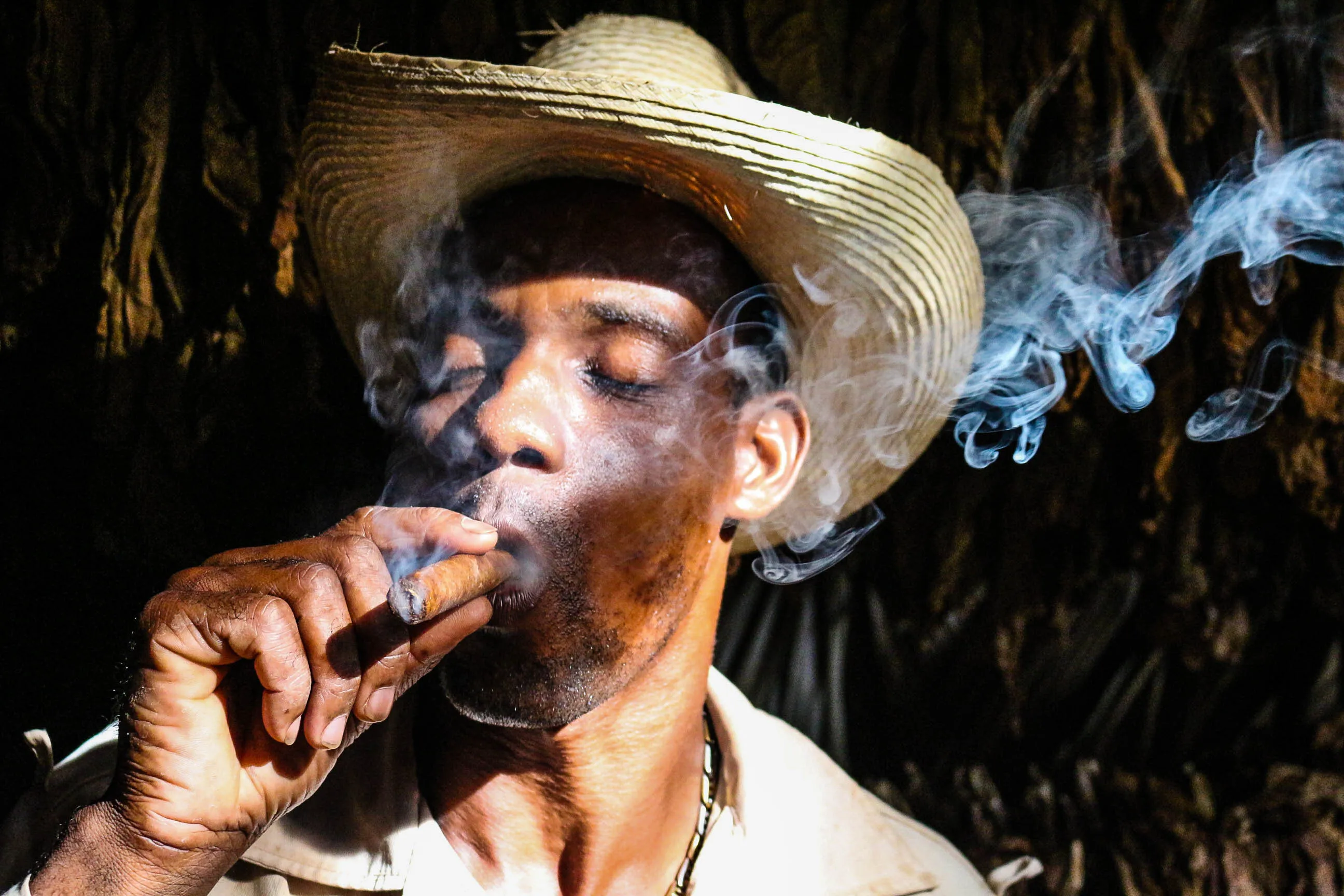 Tobacco Farm, Havana