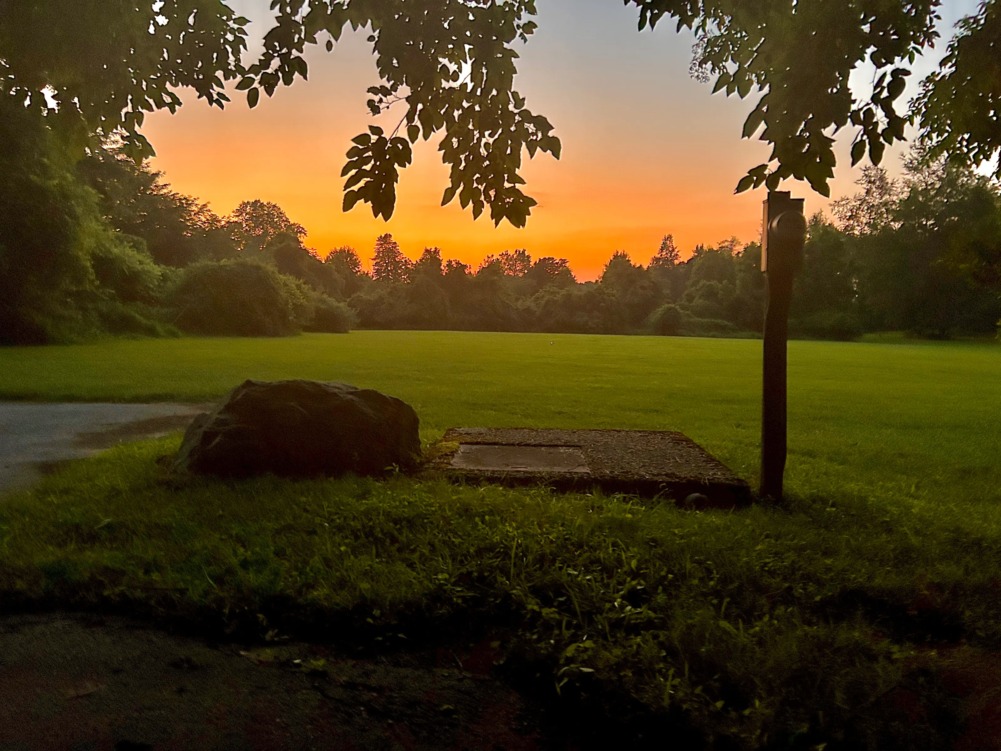 Mid-Summer Sunset Dream