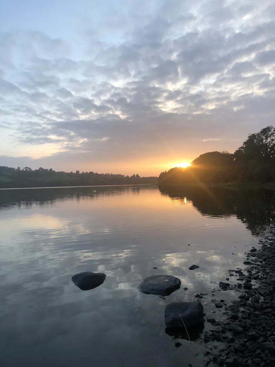 Entry 25385809