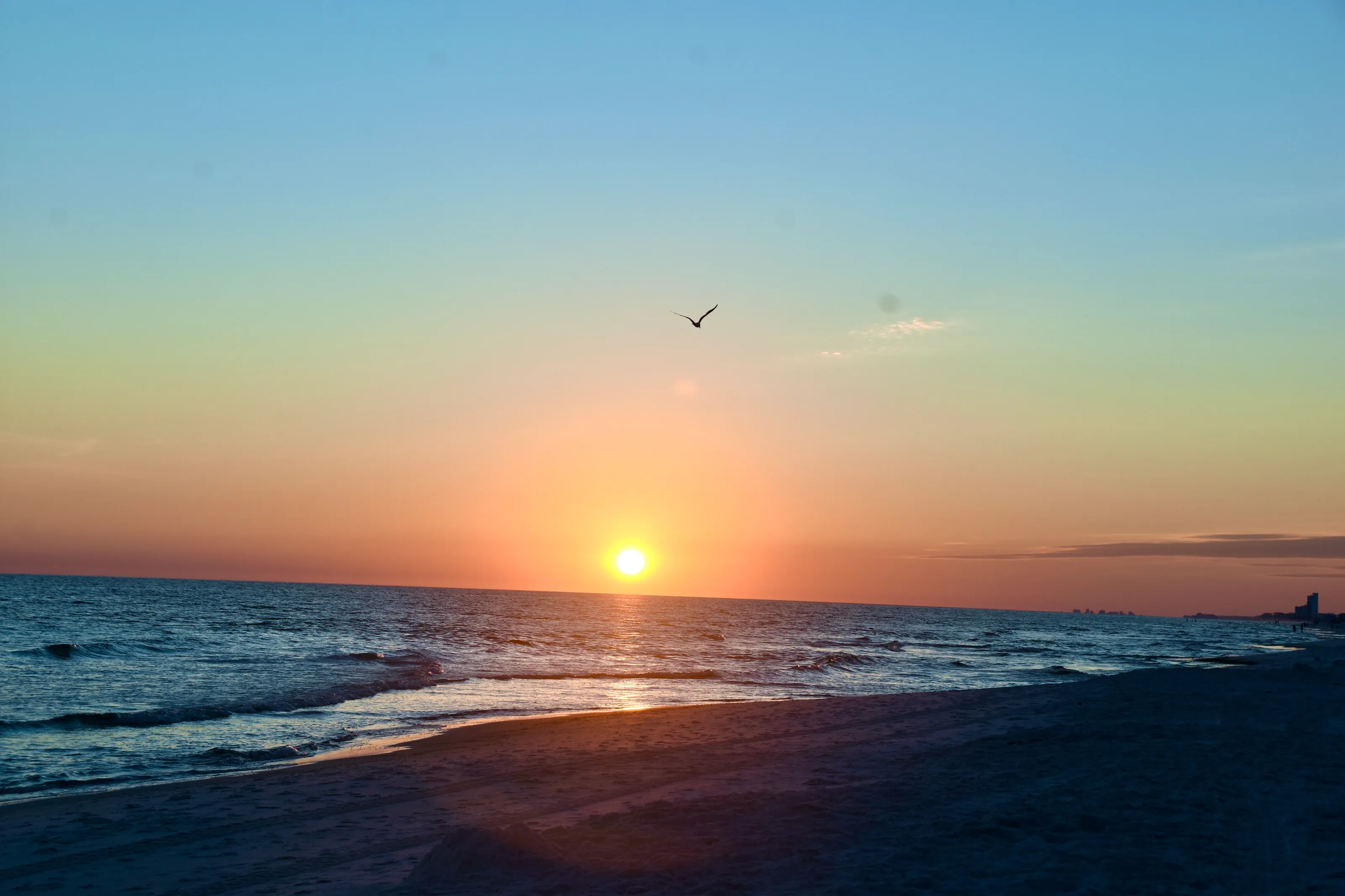 Summer sunset