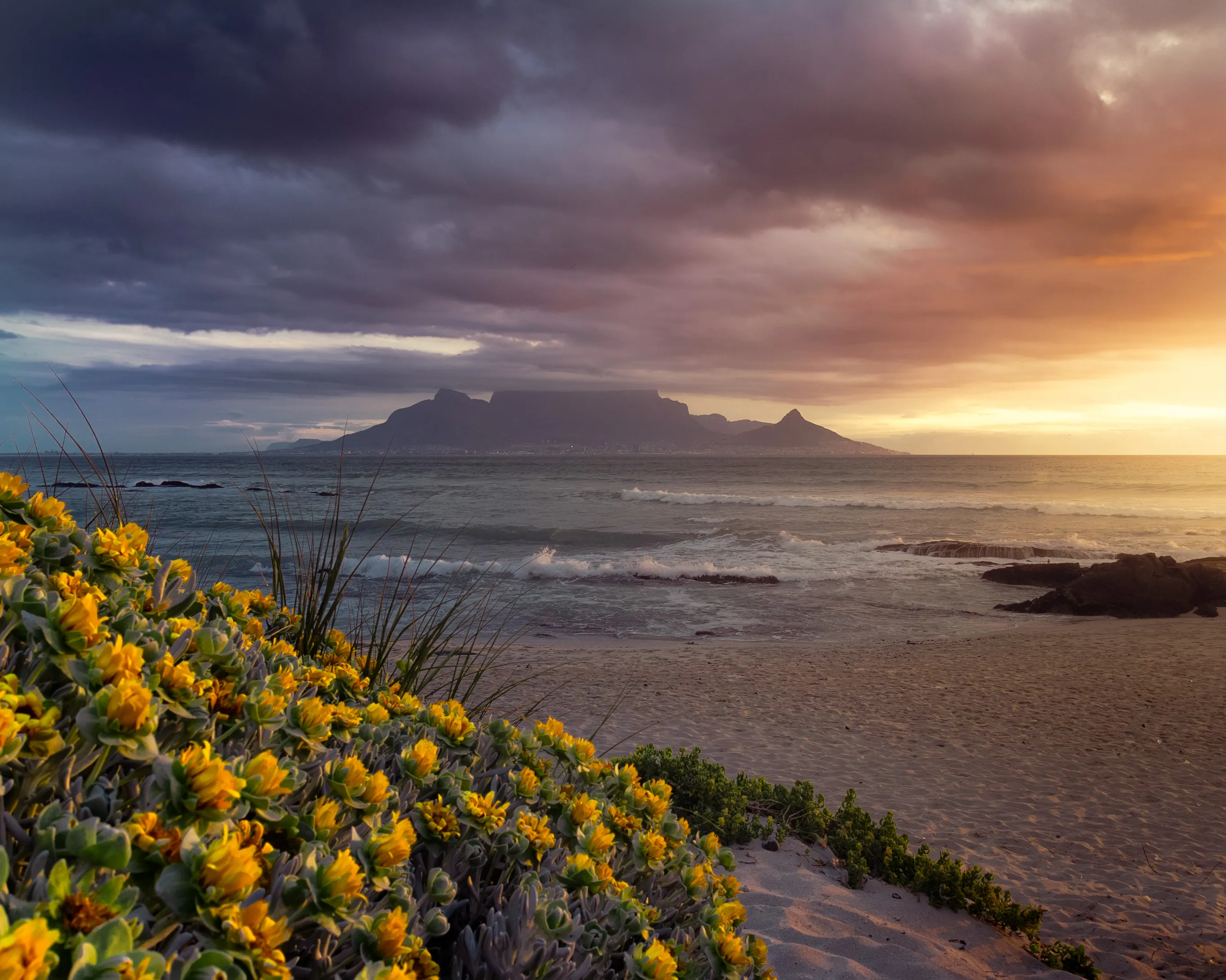 Table Mountain serenity