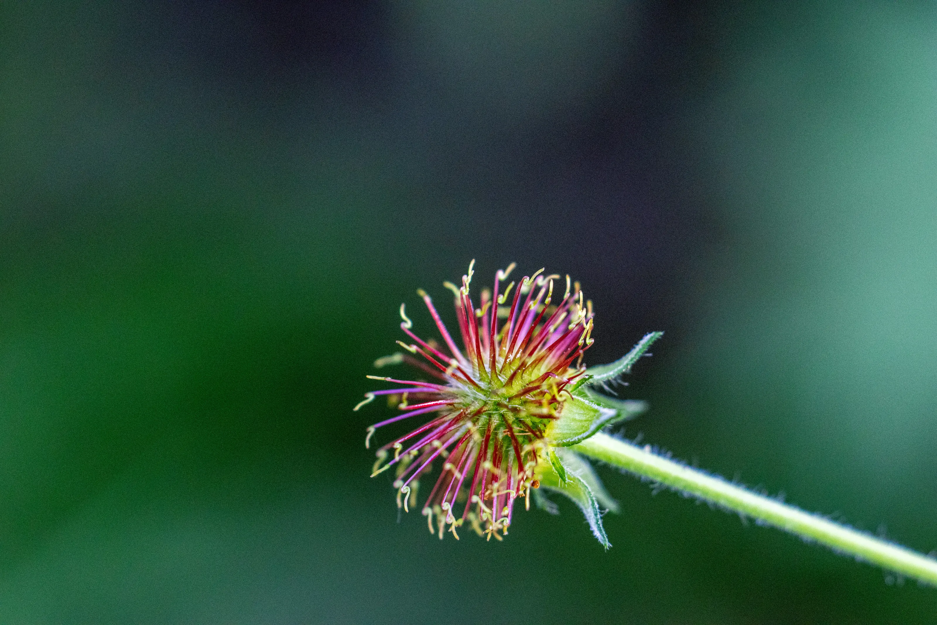 Nature at its best