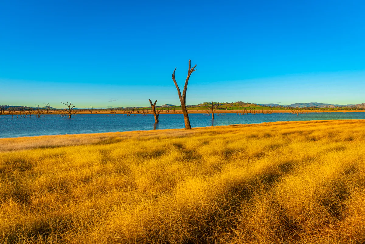 So Much Water Yet So Dry