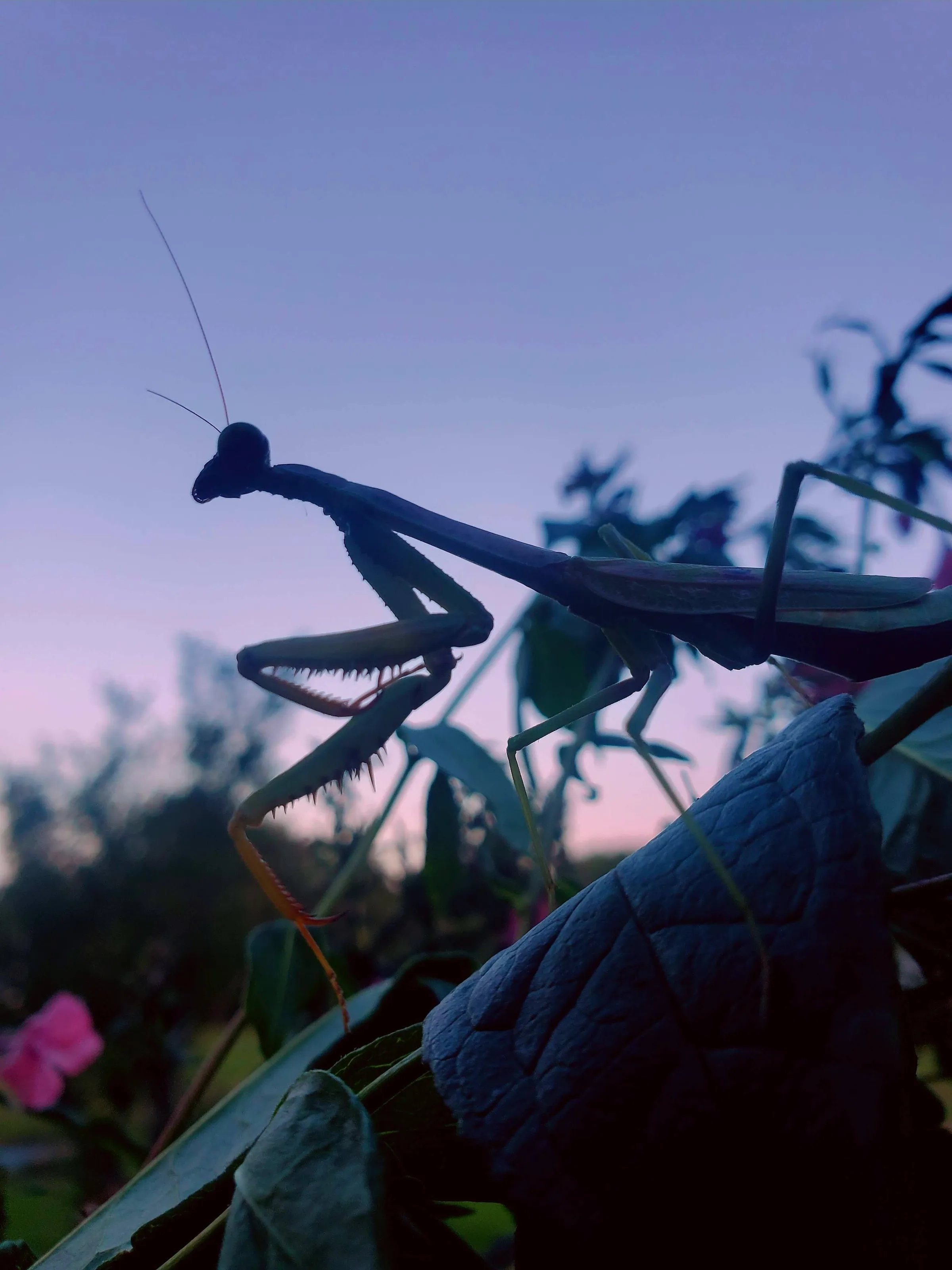 Sitting pretty