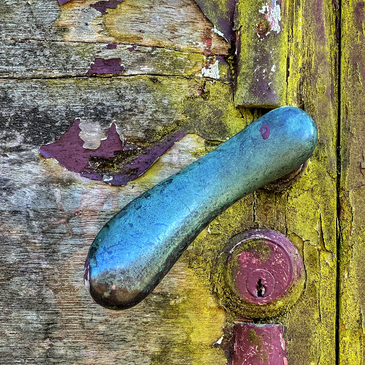 Entry 25404914