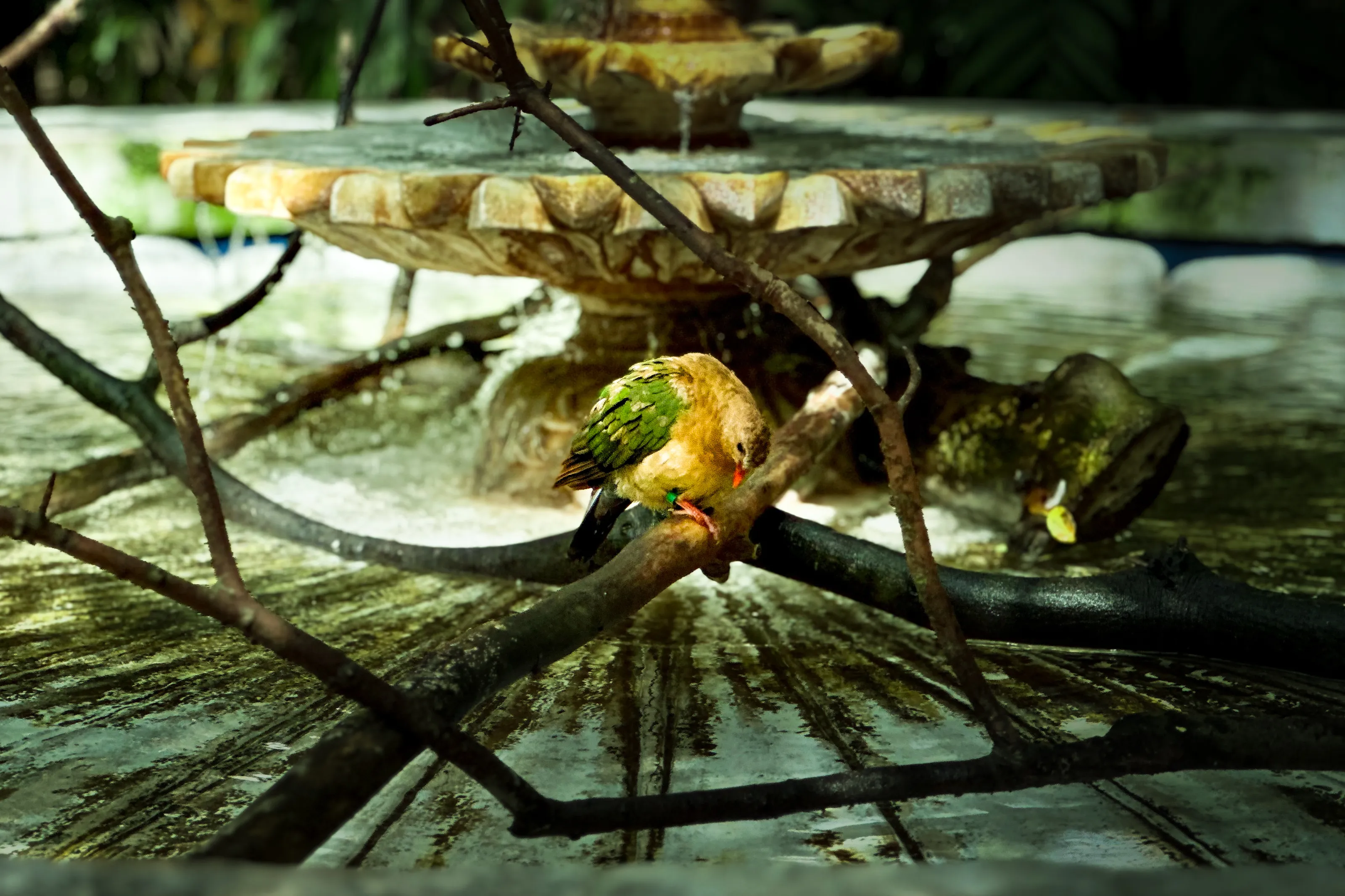 Captive Flight