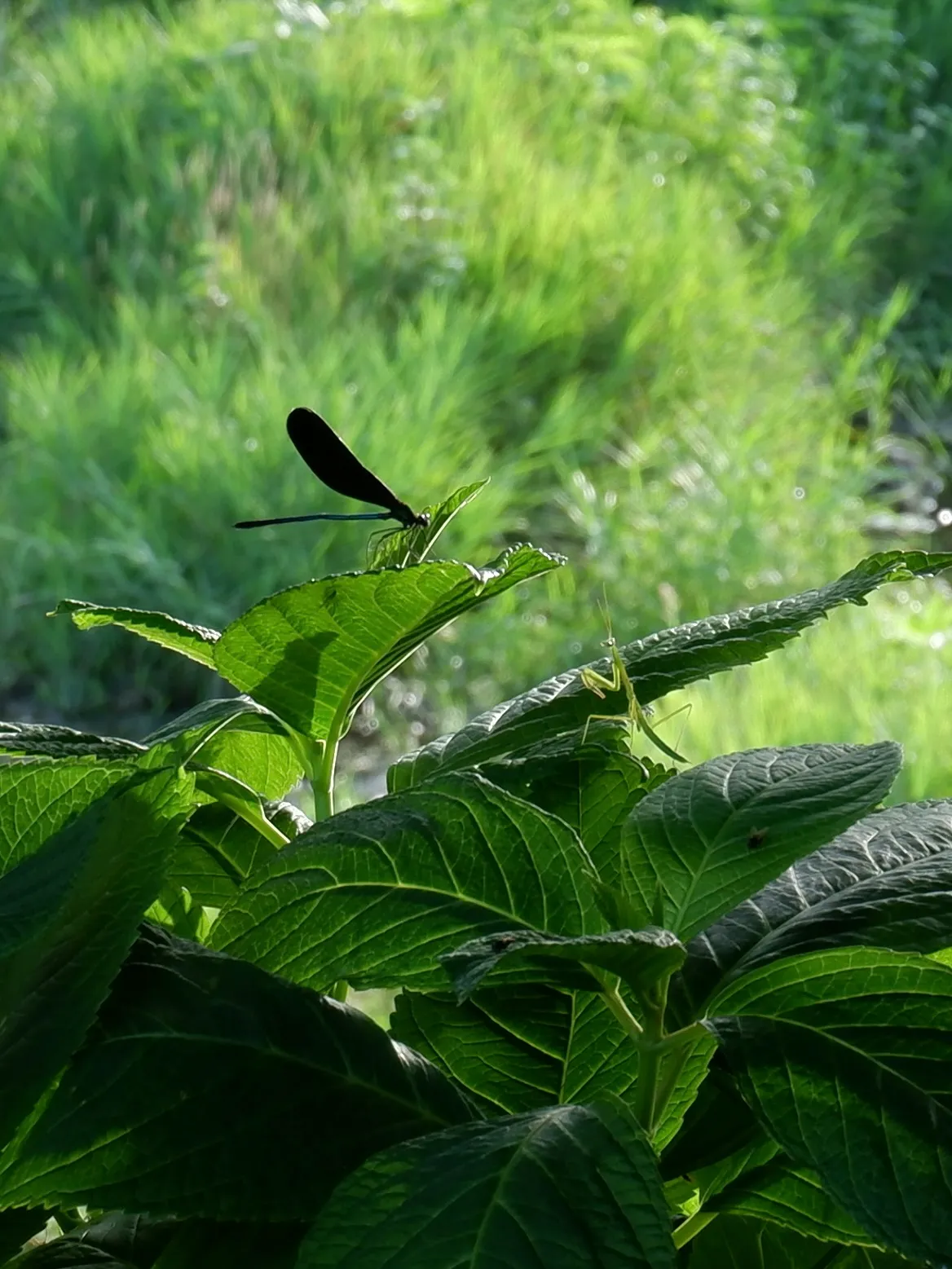 Encounter