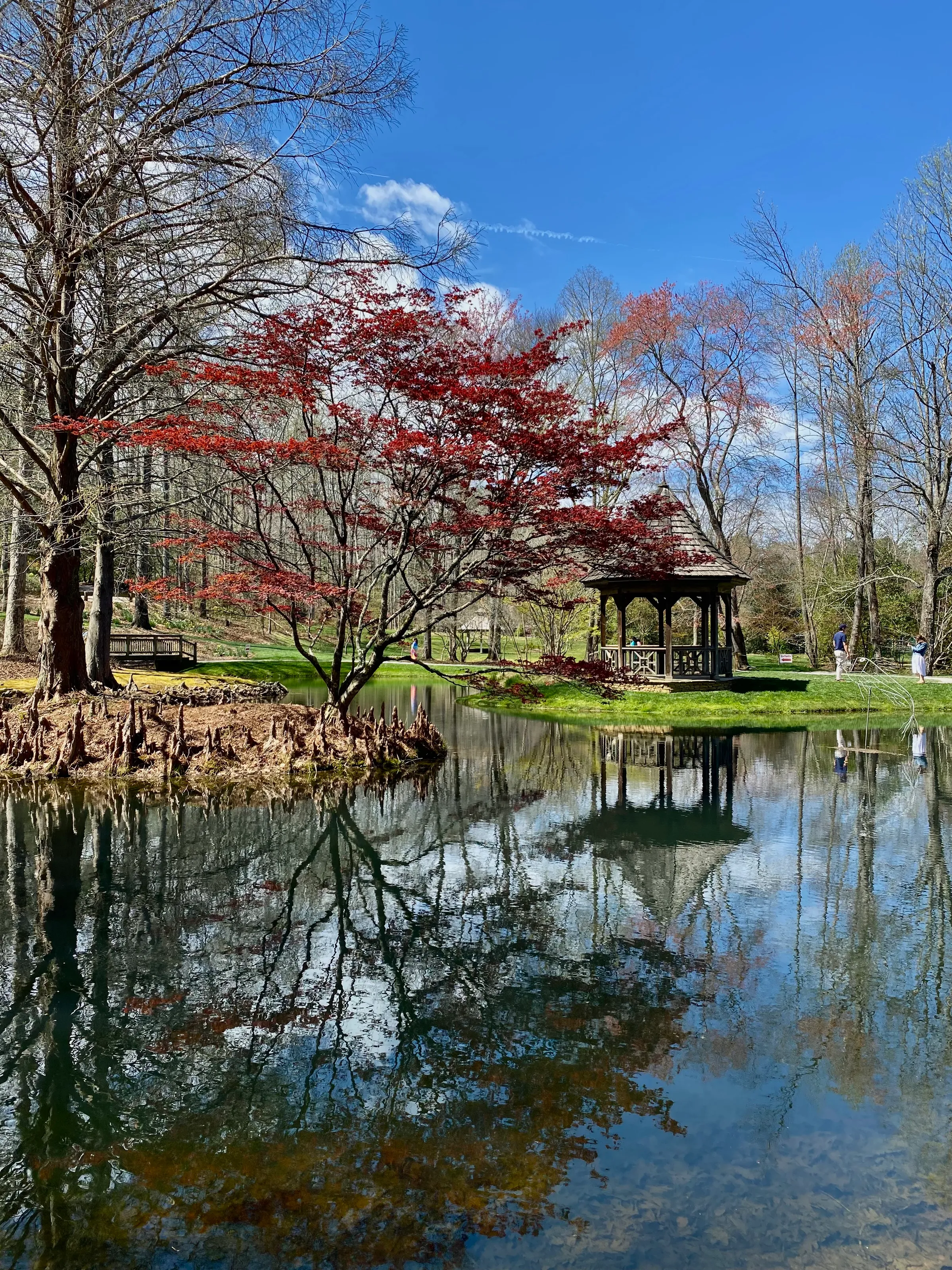 Peaceful Garden