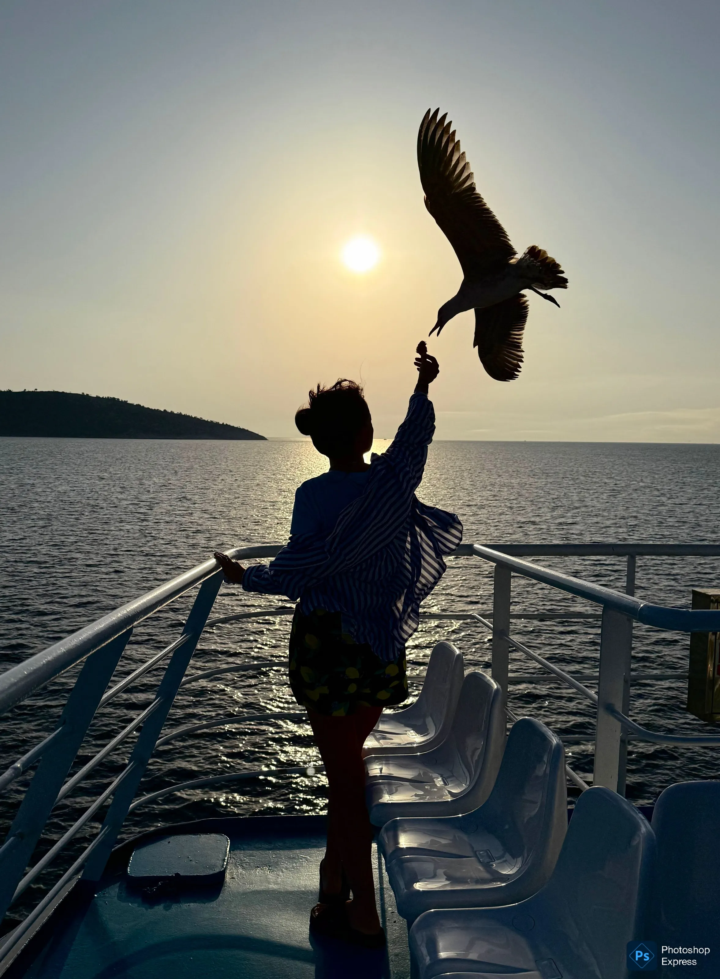 Fairy on a ferry