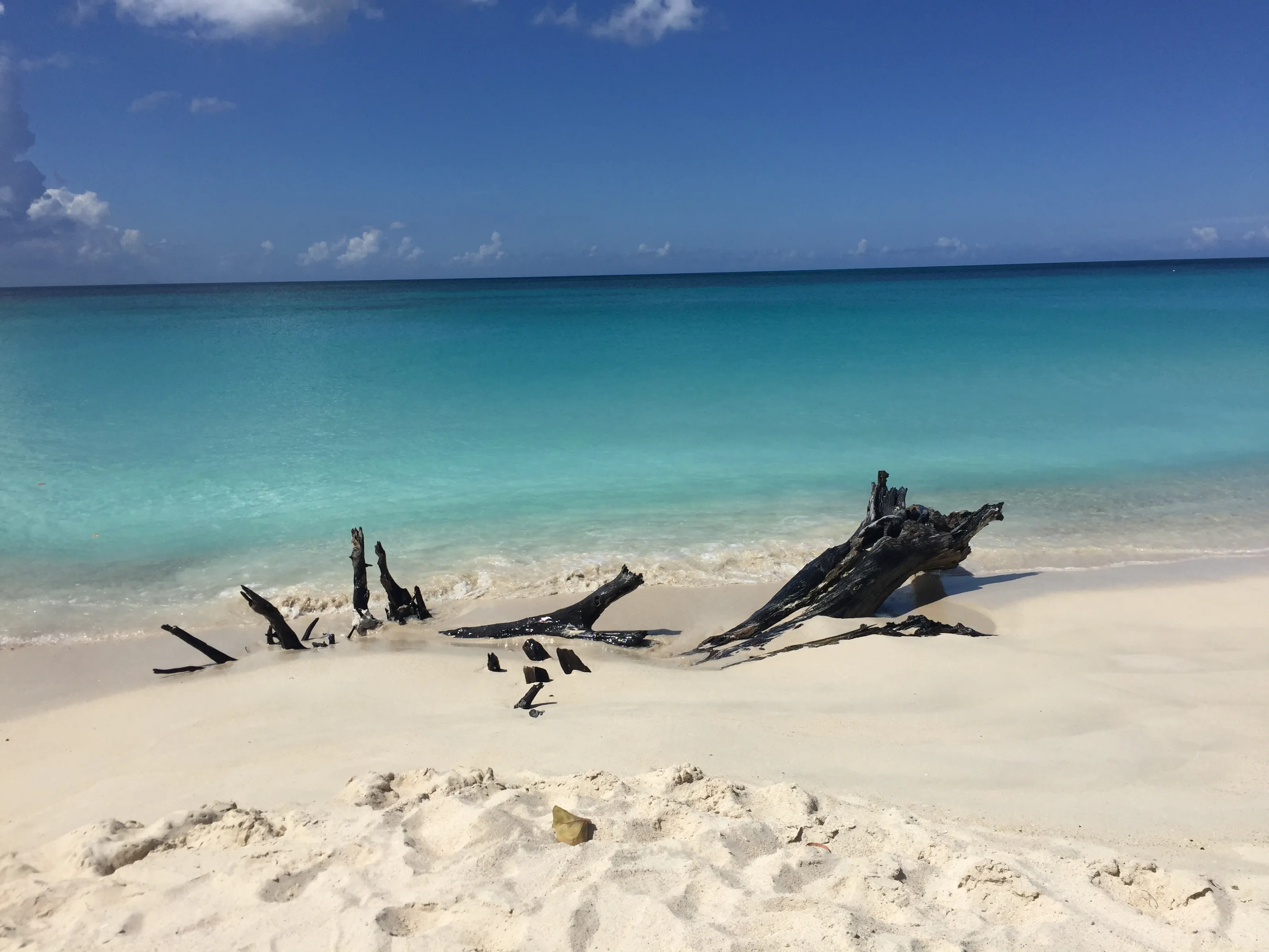 Aruba Seaside